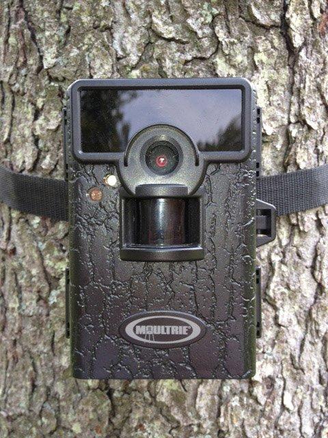 Moultrie M-80 - Thumbnail 2