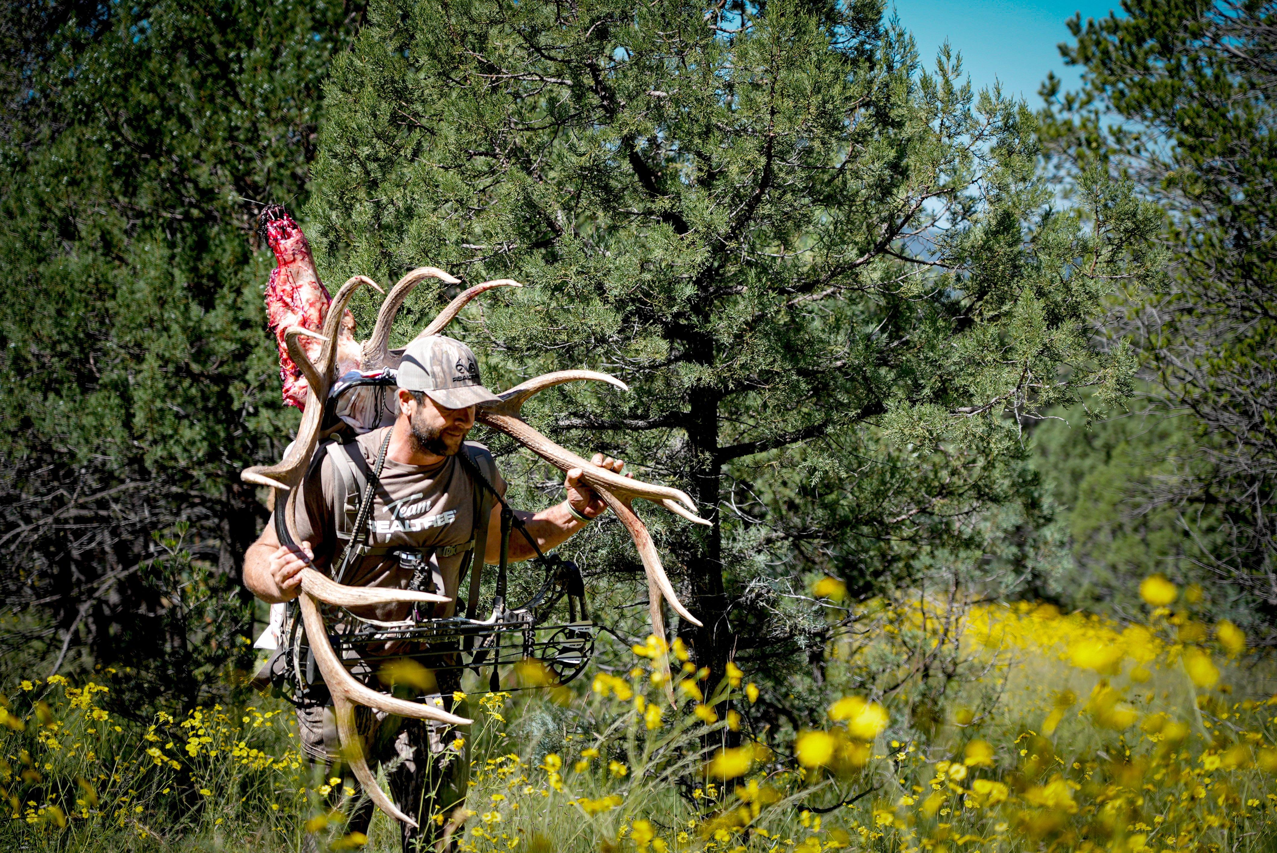 Image: mountain_wind_9