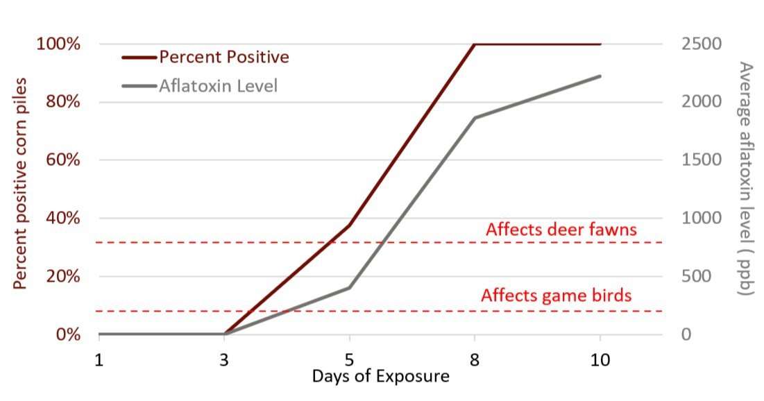 MSU Deer Lab chart showing Aflatoxin levels in corn.