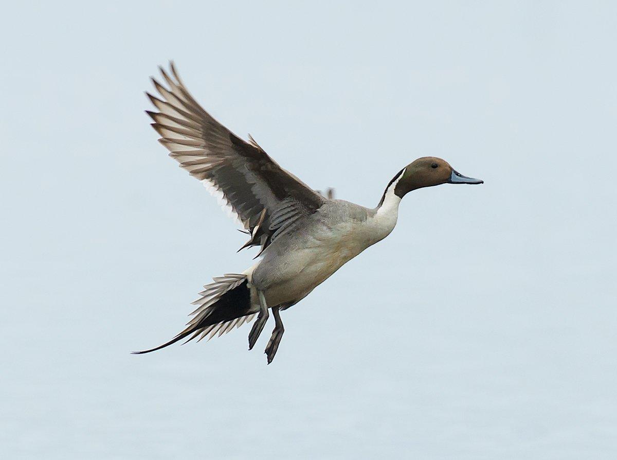 Photo © Paul Reeves Photography/Shutterstock