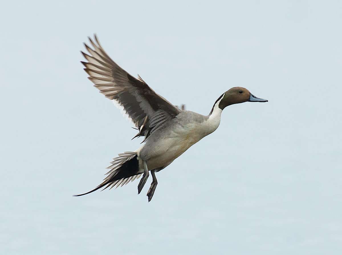 Photo © Paul Reeves Photography/Shutterstock Photo © Paul Reeves Photography/Shutterstock