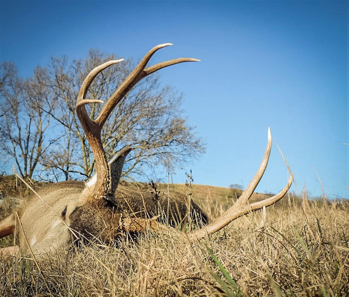 It's possible to gain access to private lands. Knock on doors. (Darron McDougal photo)