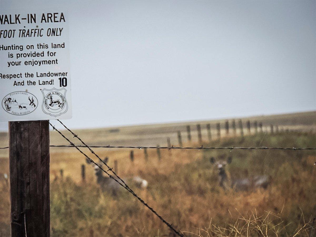 Some deer can be found close to county roads or even highways, but most mature public-land bucks spend their time deep in hard-to-reach places. Hunters willing to go the distance can find success. (Darron McDougal photo)