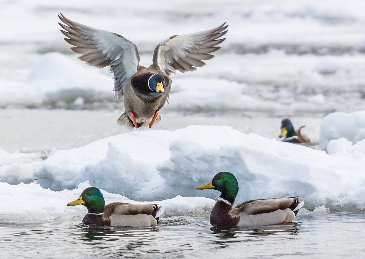 Photo © Hannu Rama/Shutterstock