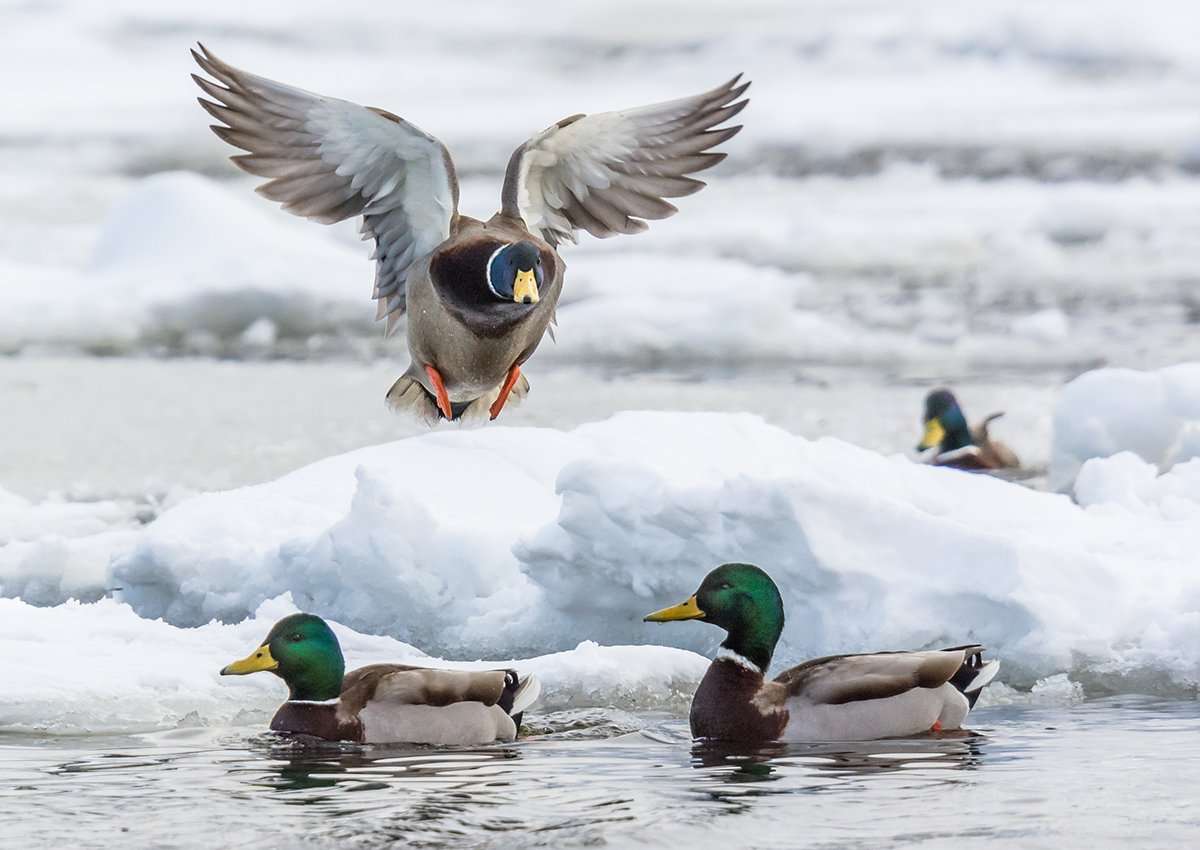 Photo © Hannu Rama/Shutterstock Photo © Hannu Rama/Shutterstock
