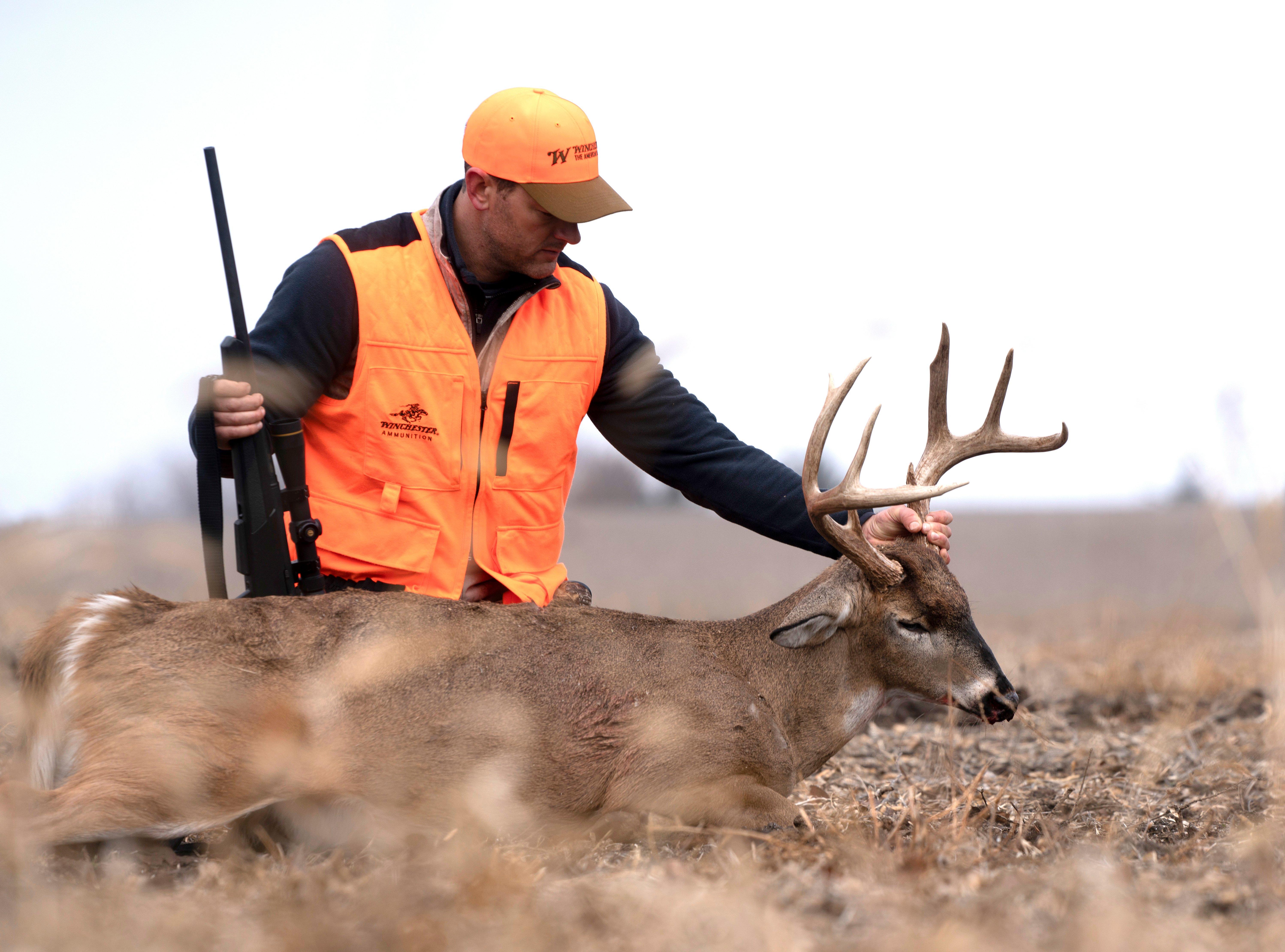 Image: new_deer_loads_2025_1