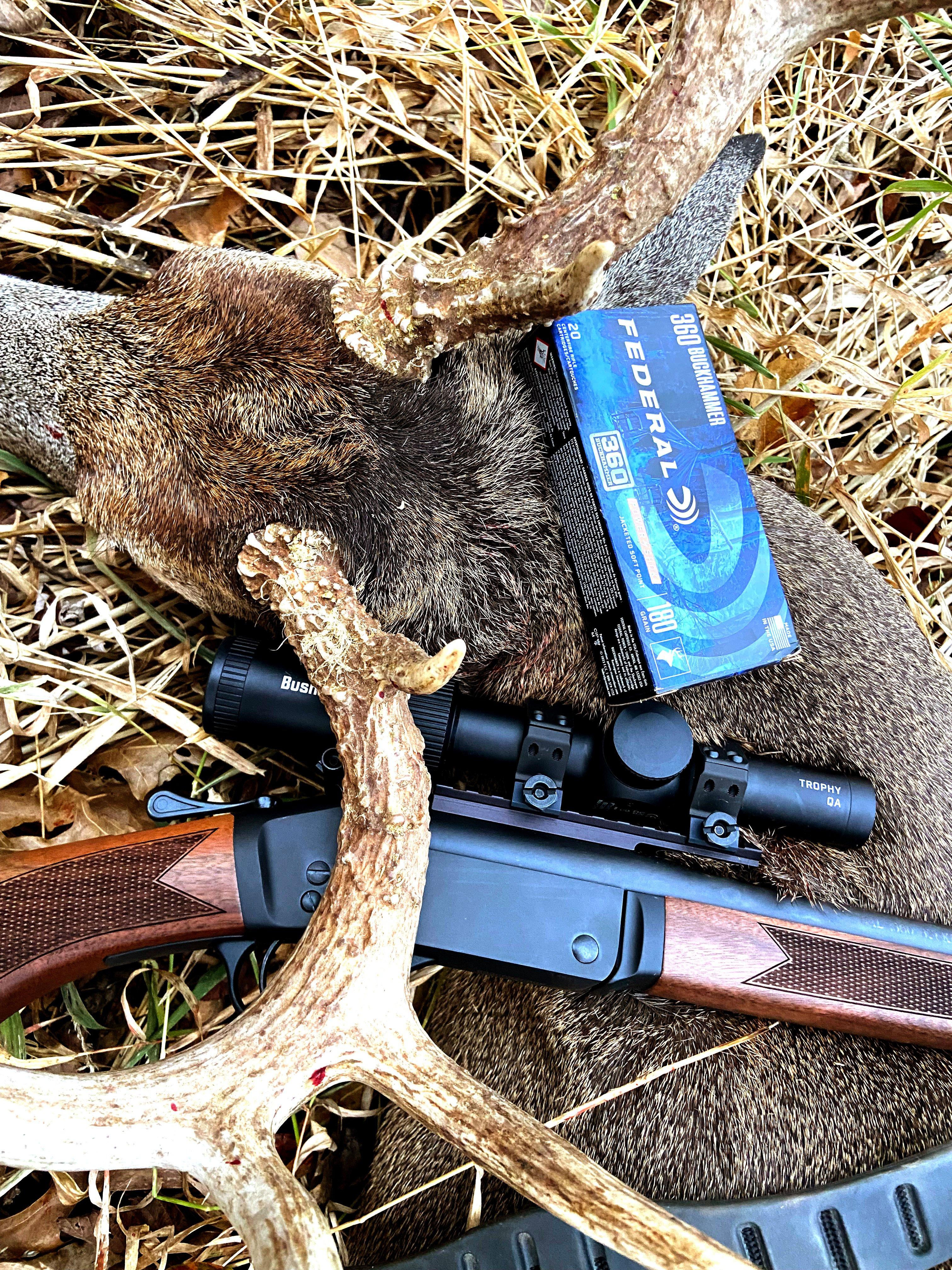 Image: new_deer_loads_2025_6