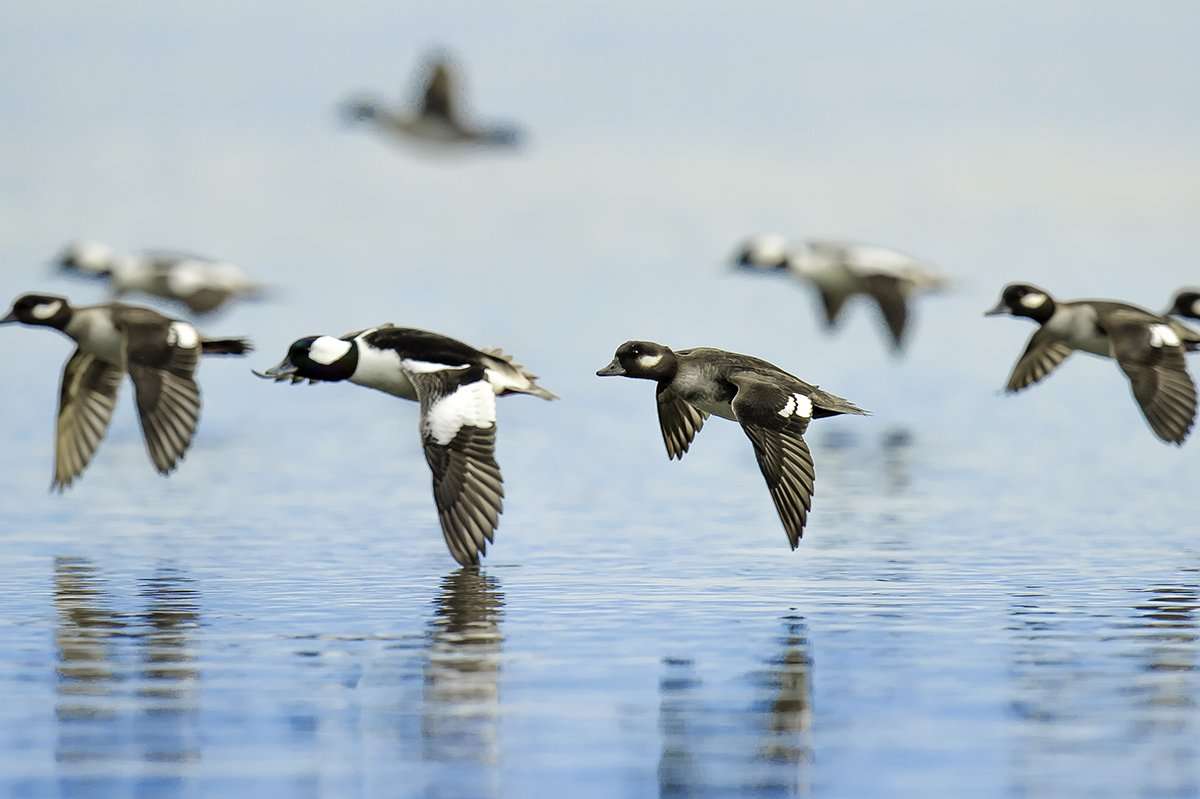Photo © Don Laidlaw/Shutterstock Photo © Don Laidlaw/Shutterstock