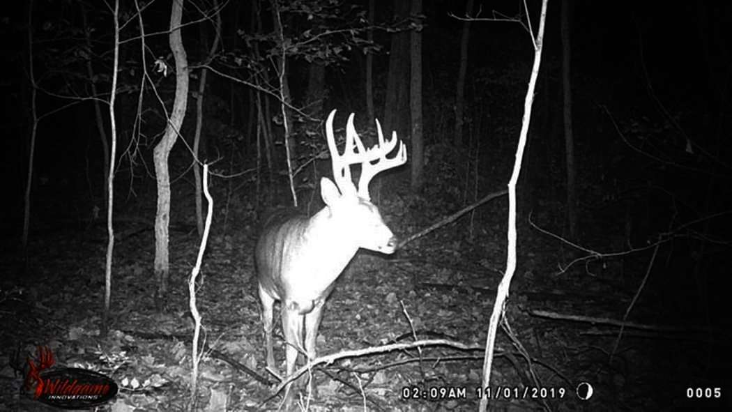 Ashley Noe's buck wasn't a homebody on the family farm. Instead, the buck would show up during the rut each season. Plus, he was most often a nighttime mover. A front, some hot does and a soybean field set the stage for Noe's successful late-November hunt. (Photo courtesy of Jake and Ashley Noe)