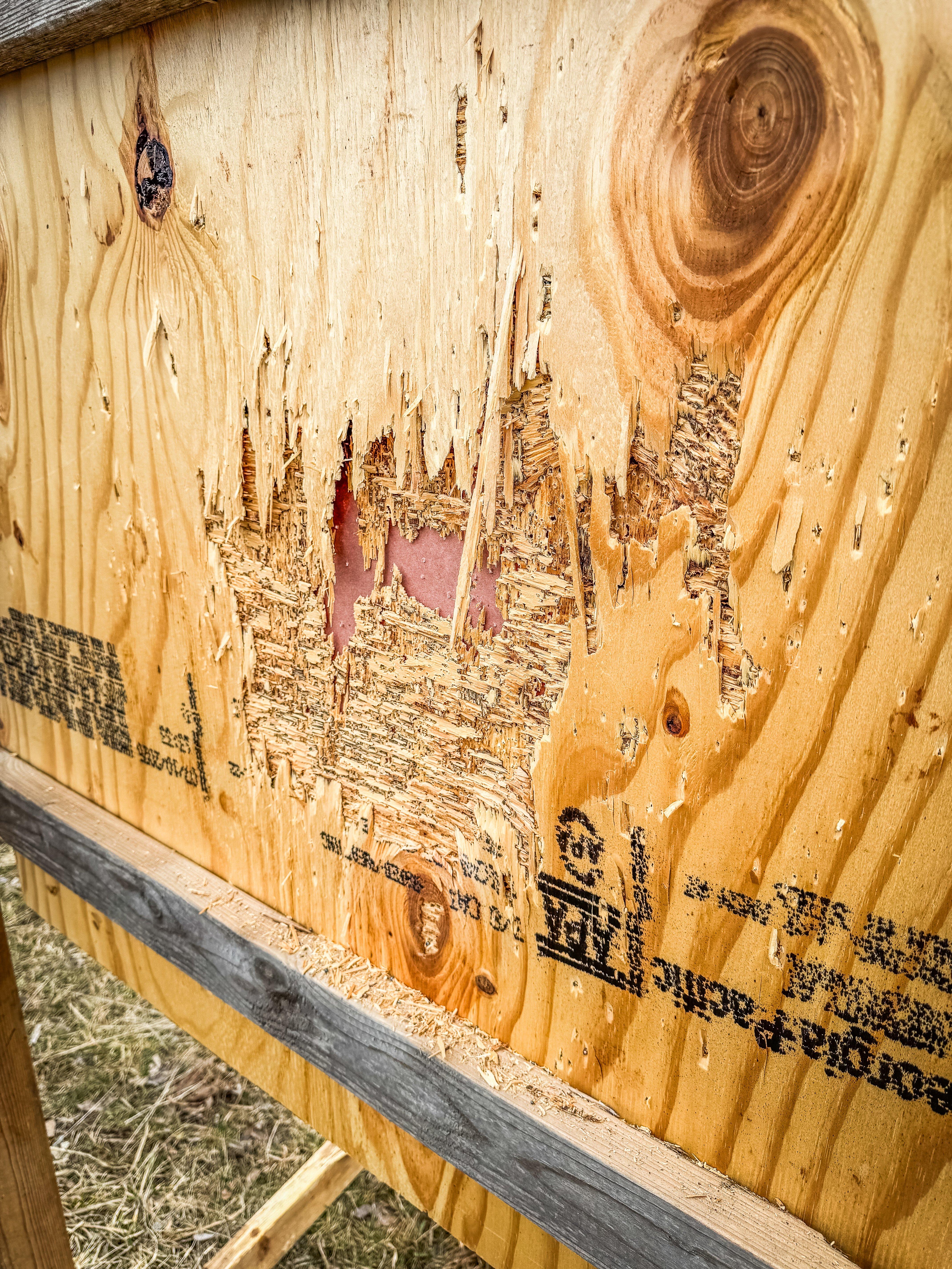 Image: non_tss_20_ga_9