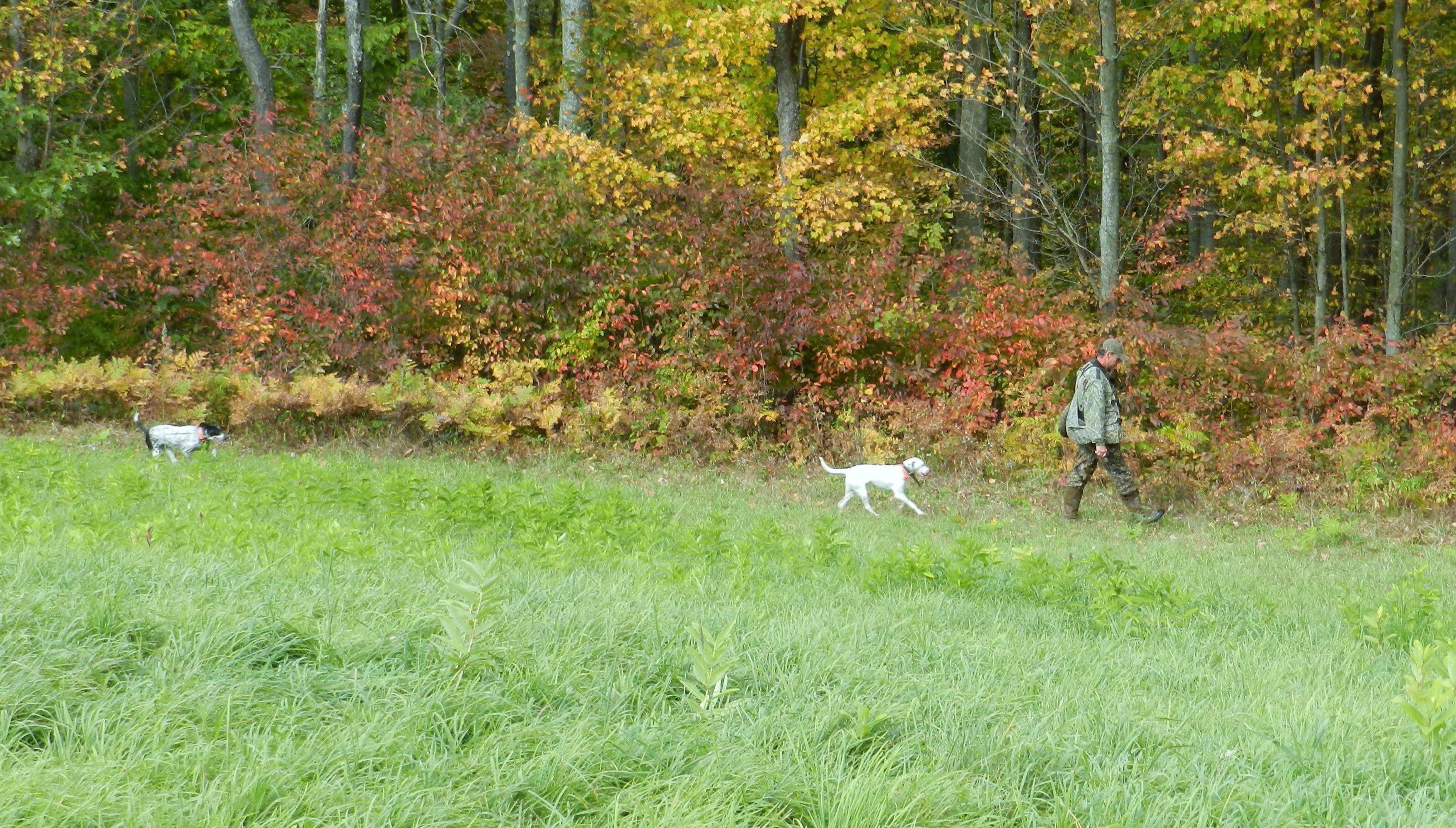 You cover ground fall turkey hunting.