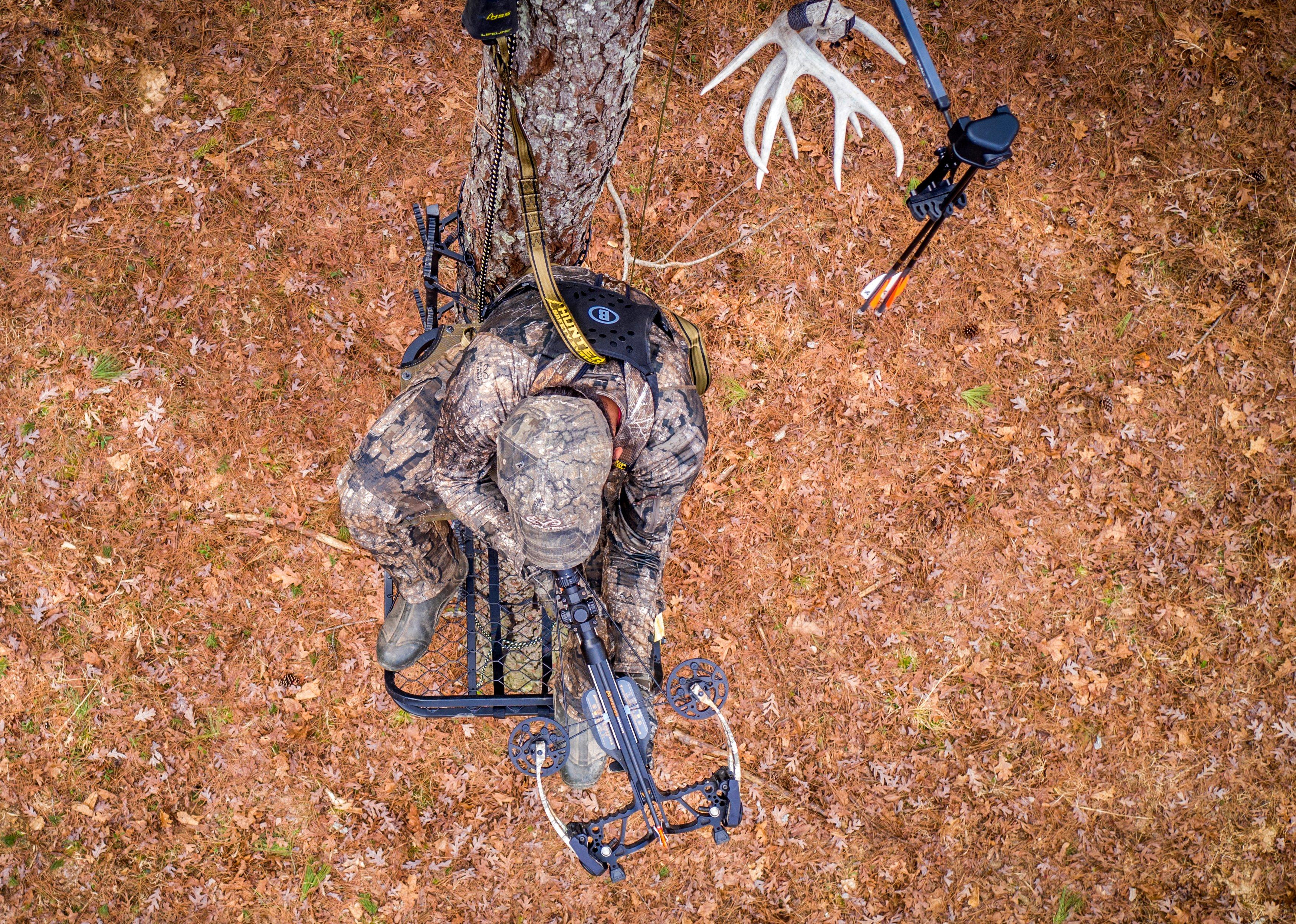 Image: ny_x_bow_legal