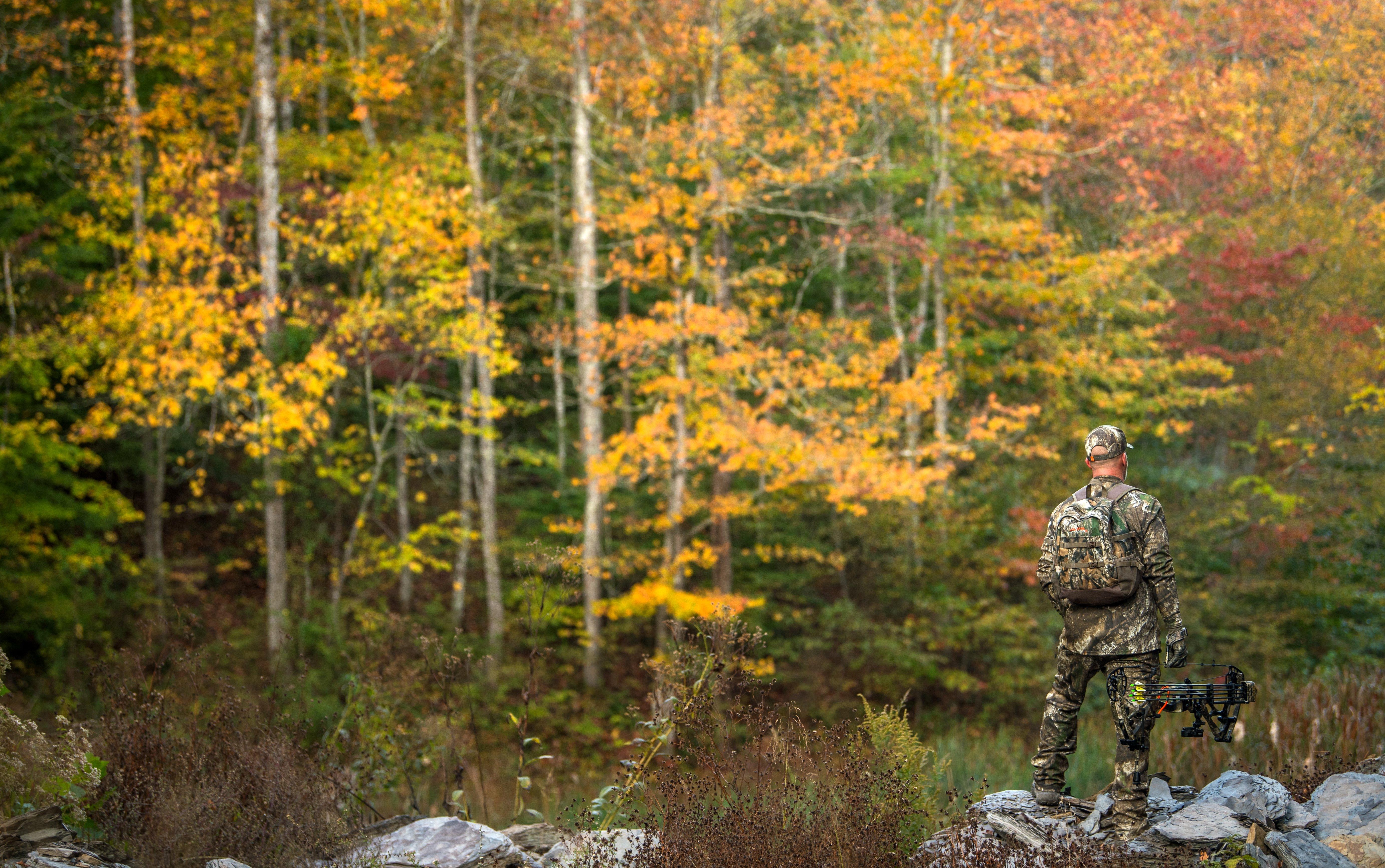 Image: october_lull_1