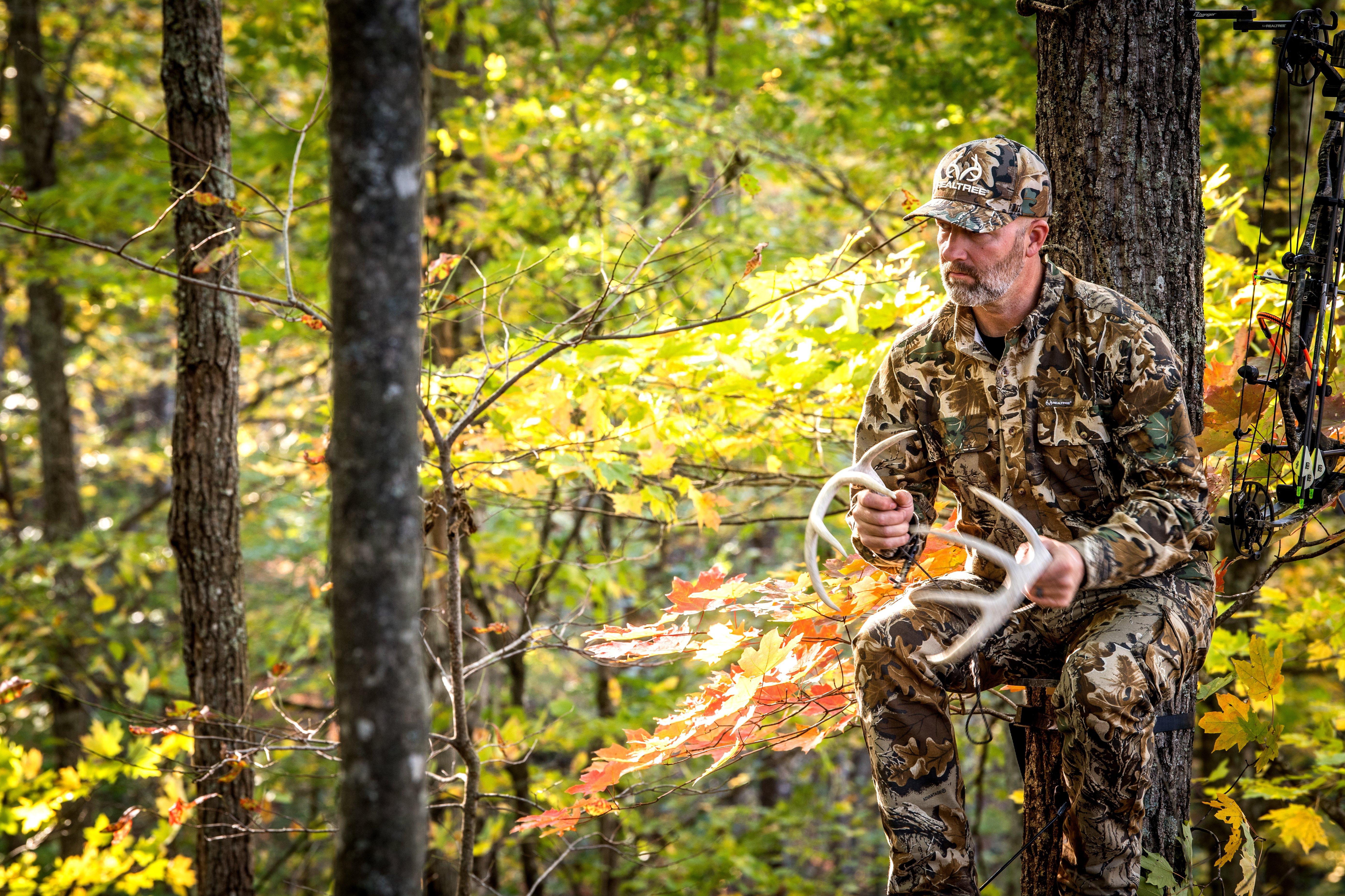 Image: october_lull_3