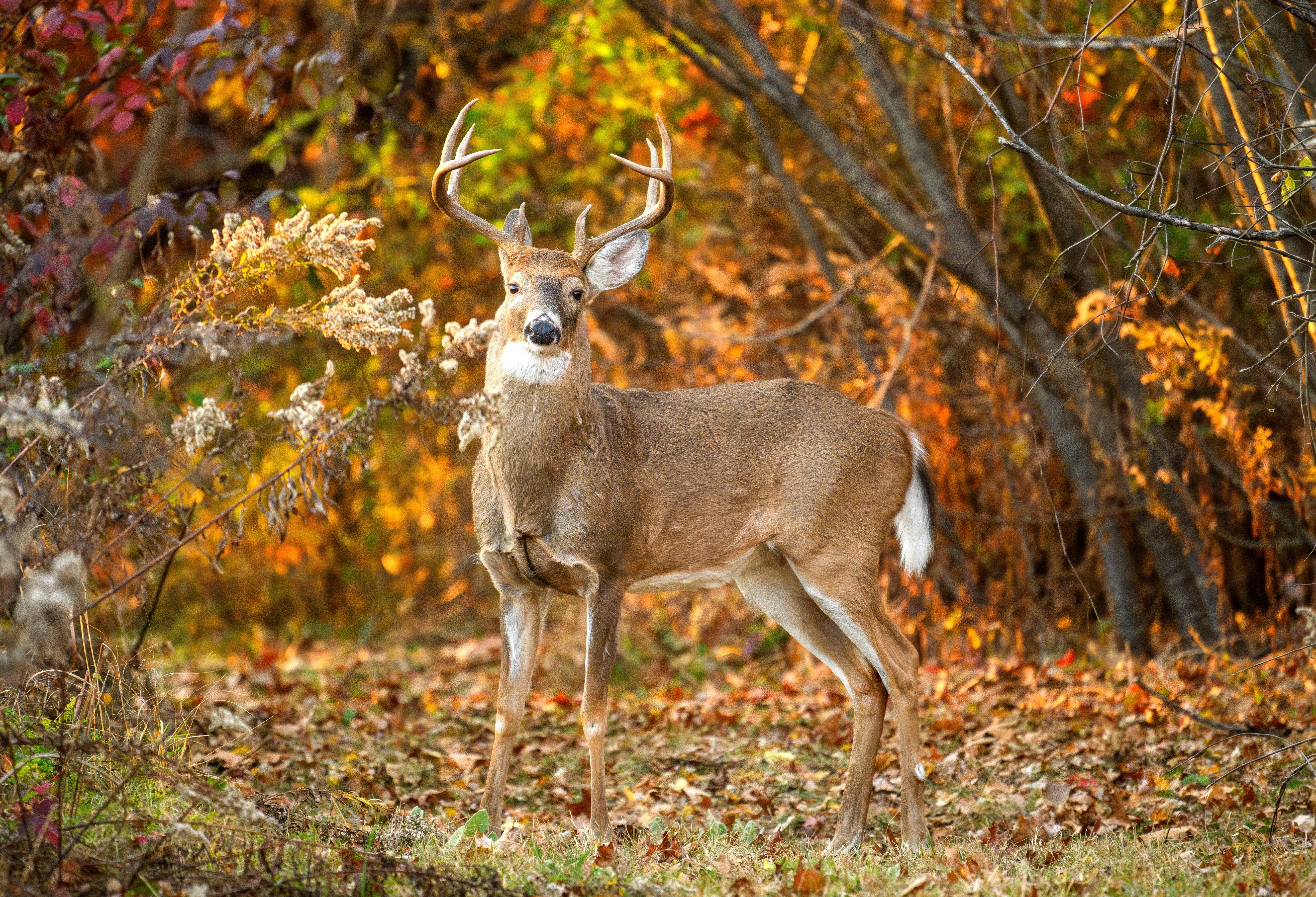 Image: october_lull_8