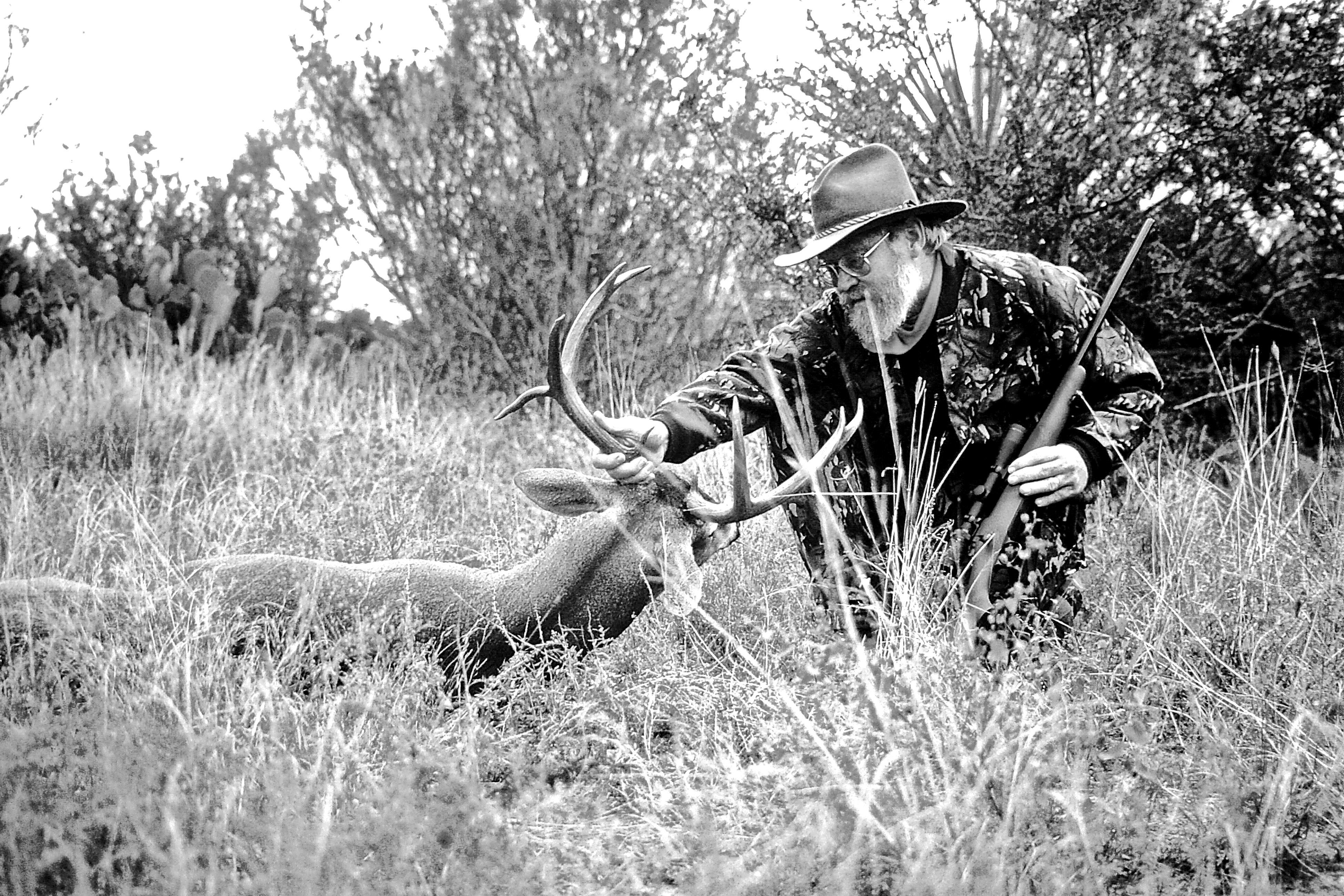 Image: off_wall_whitetail_6