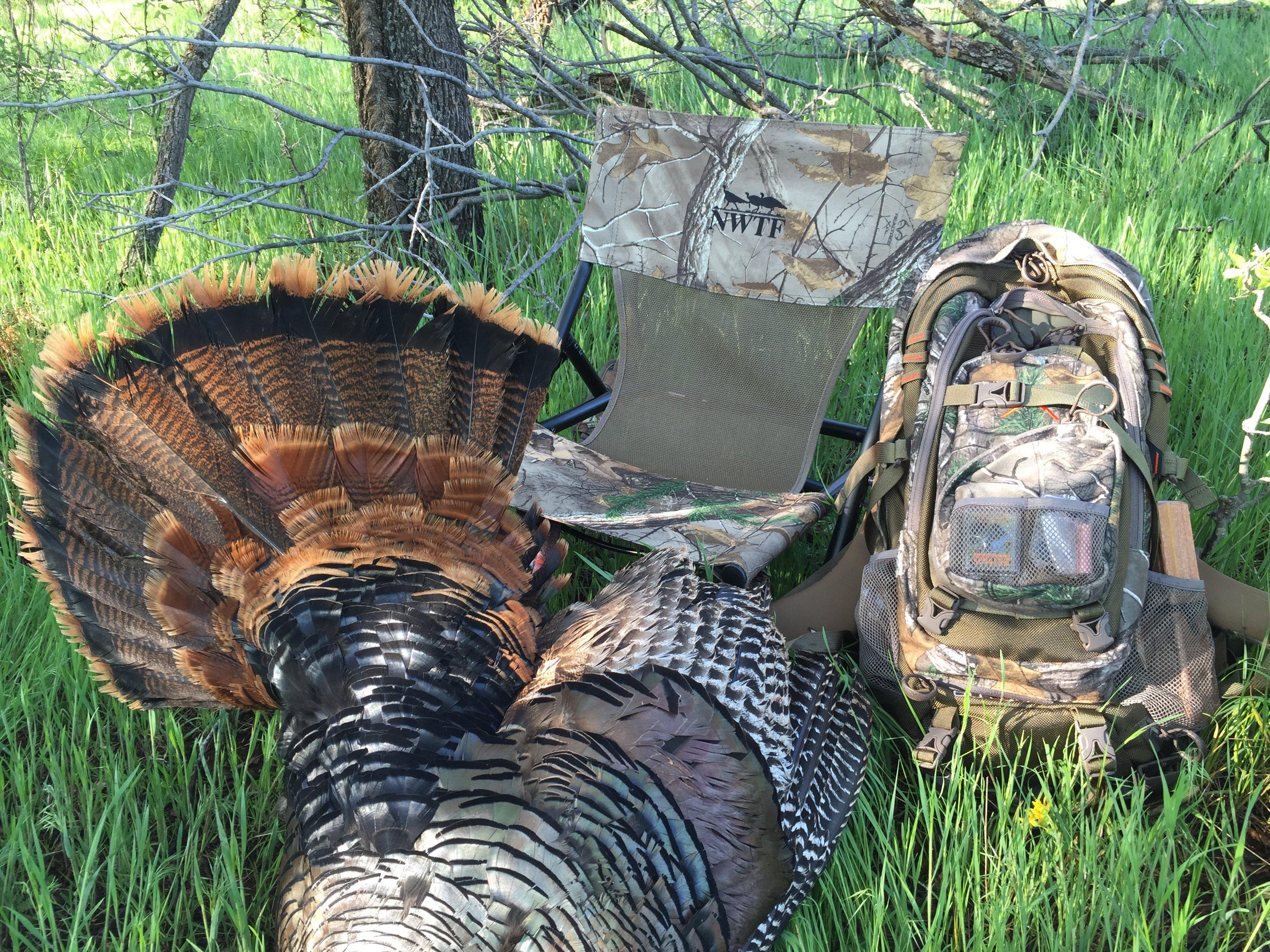 I used this ALPS OutdoorZ turkey chair and pack on our hunt. (Steve Hickoff photo)