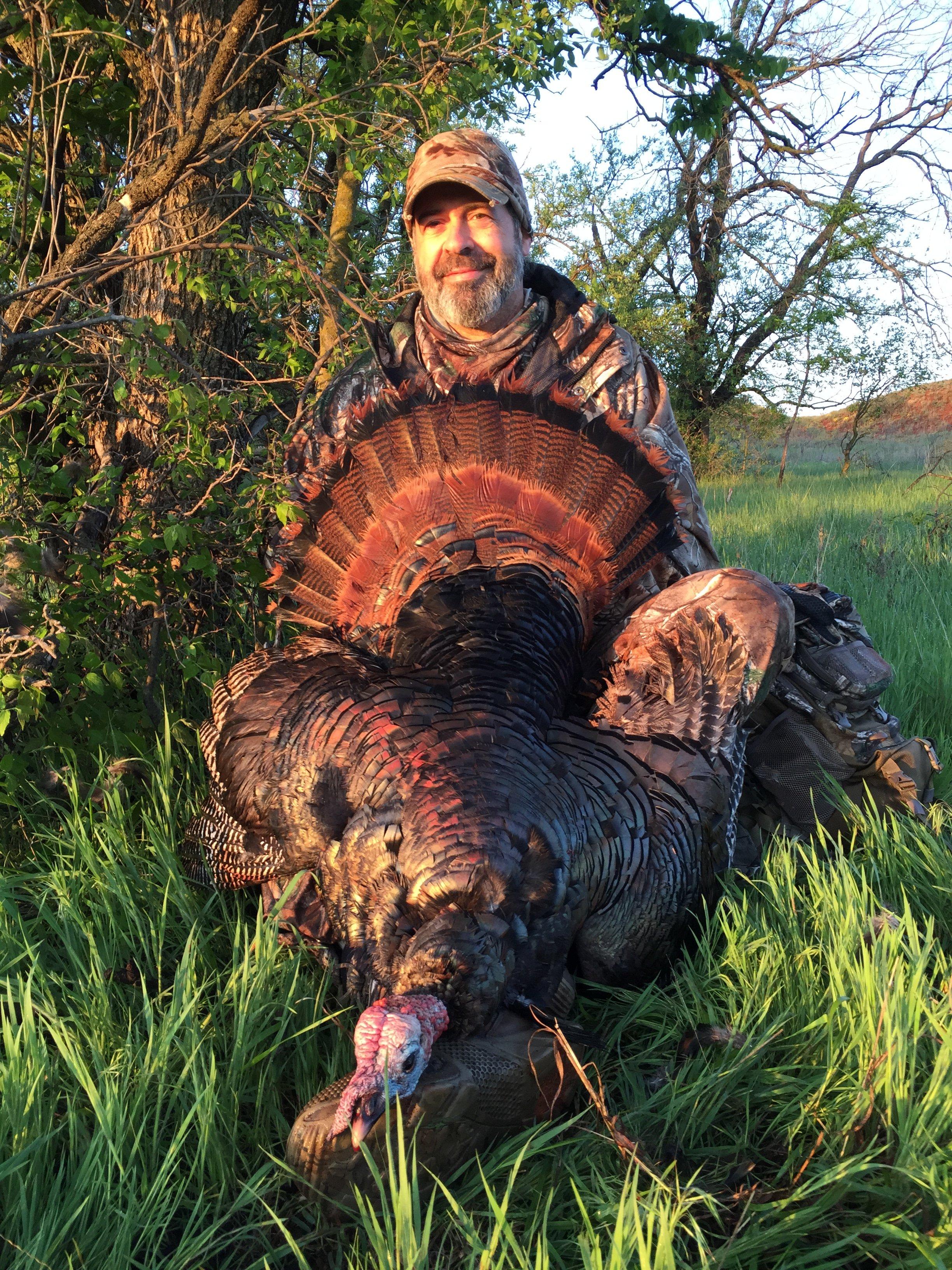 My Oklahoma longbeard in the sweet morning light. (Steve Hickoff photo)