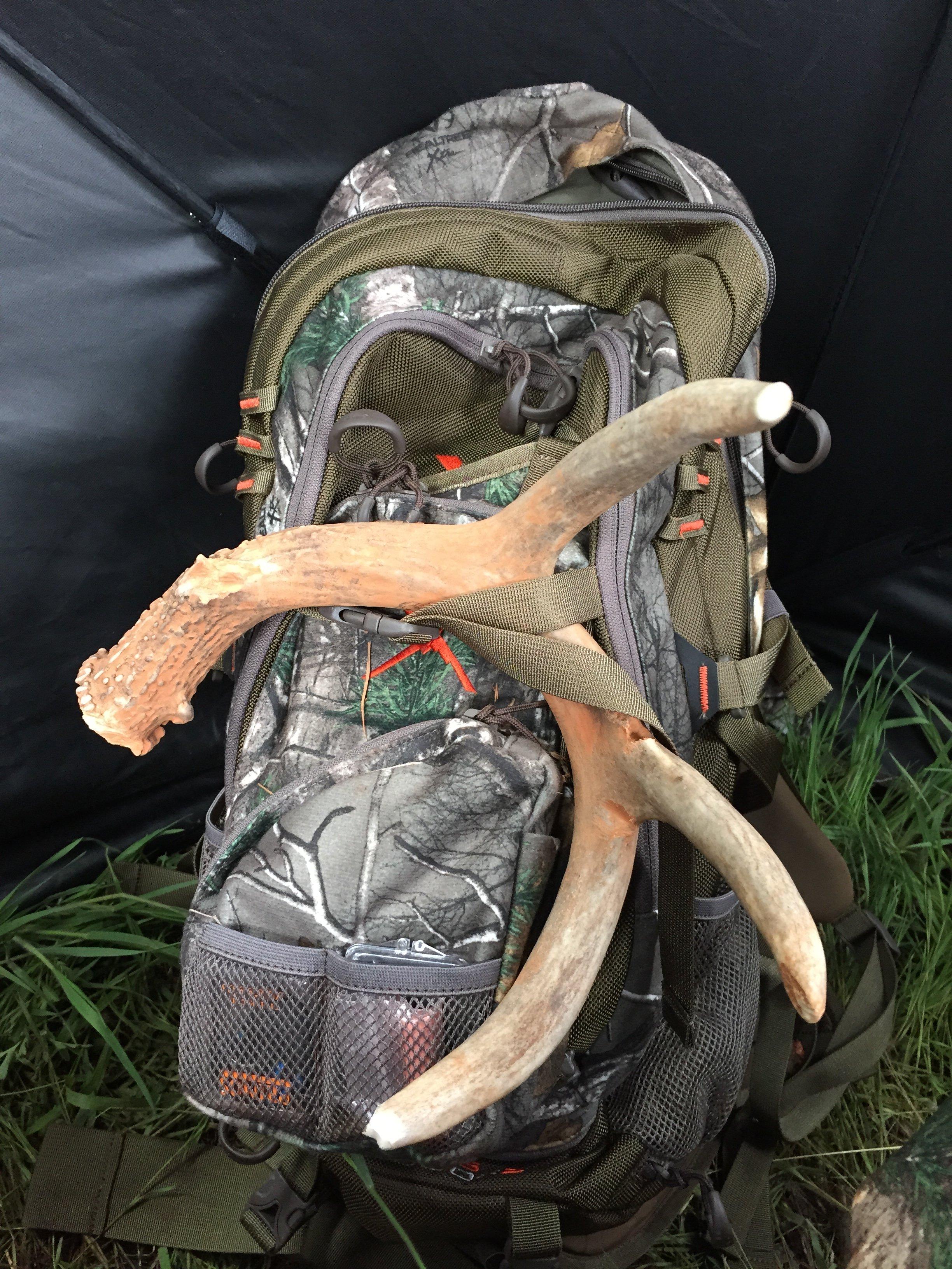 Several deer sheds were found on this turkey hunt. Here's mine. (Steve Hickoff)