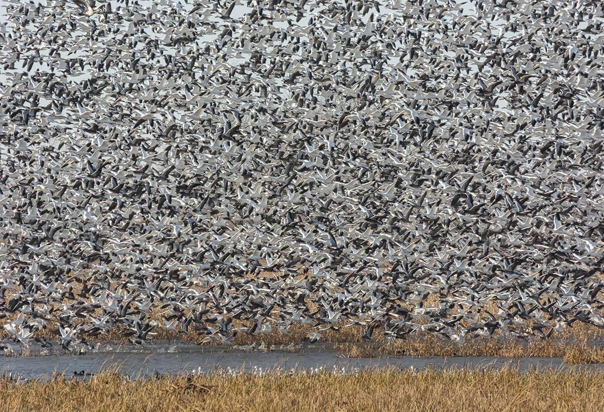 Photo © Sharon Day/Shutterstock Photo © Sharon Day/Shutterstock