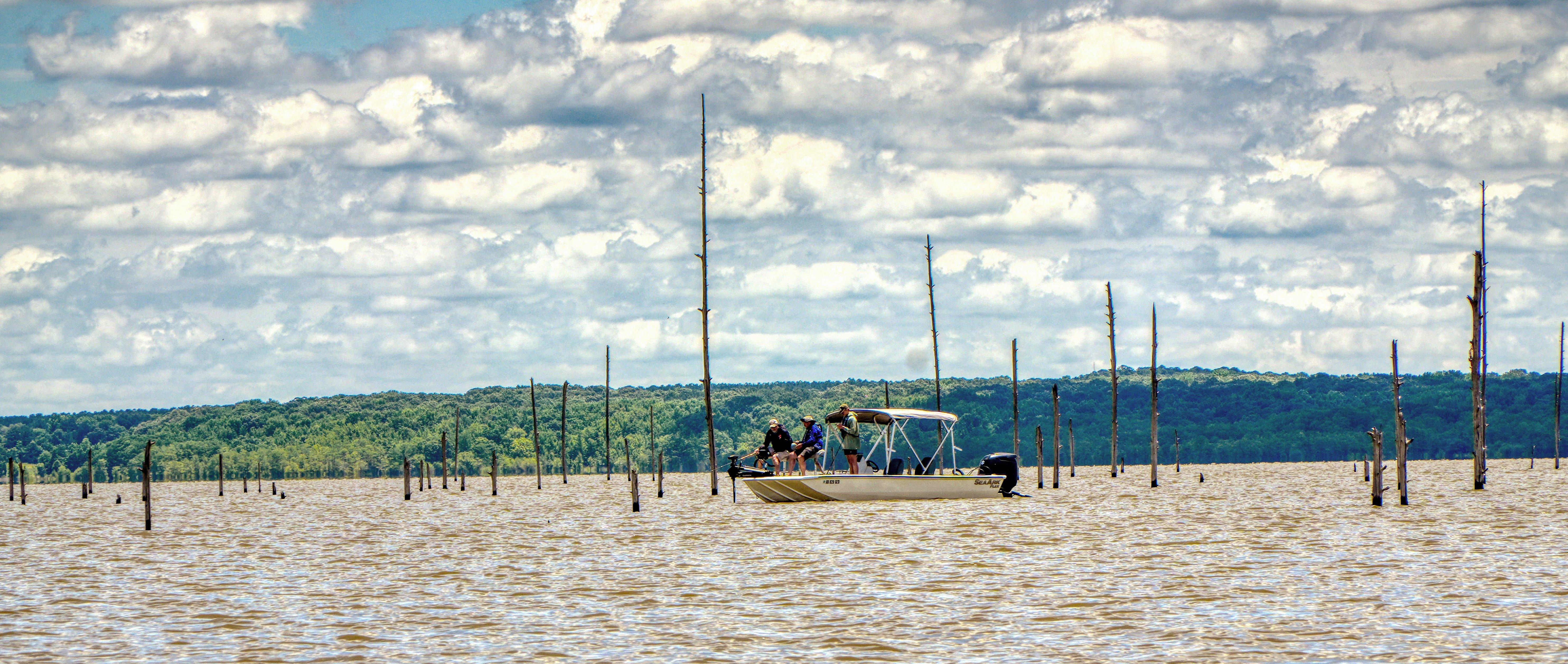 Image: old_school_crappie_6