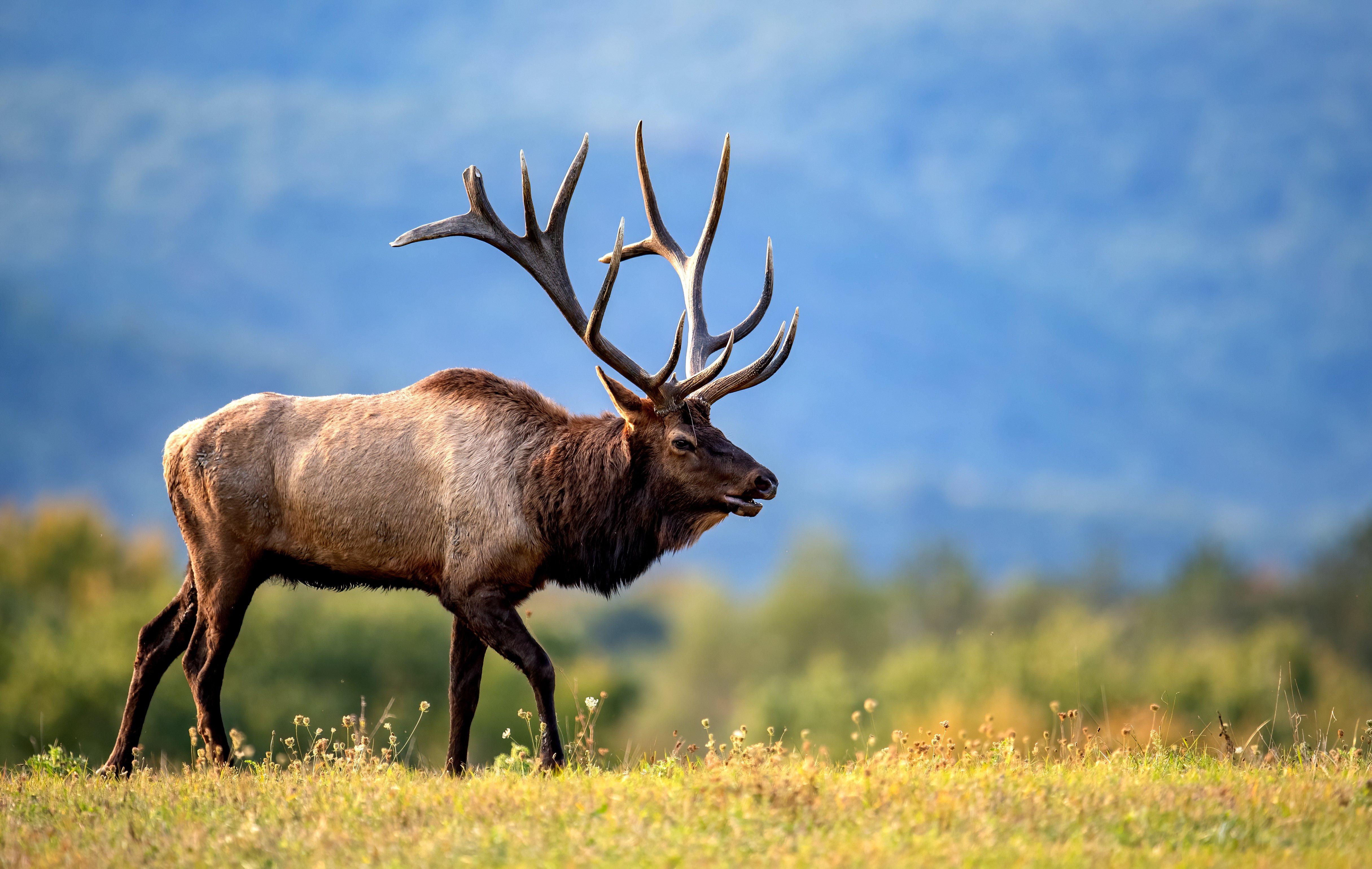 Image: open_public_lands