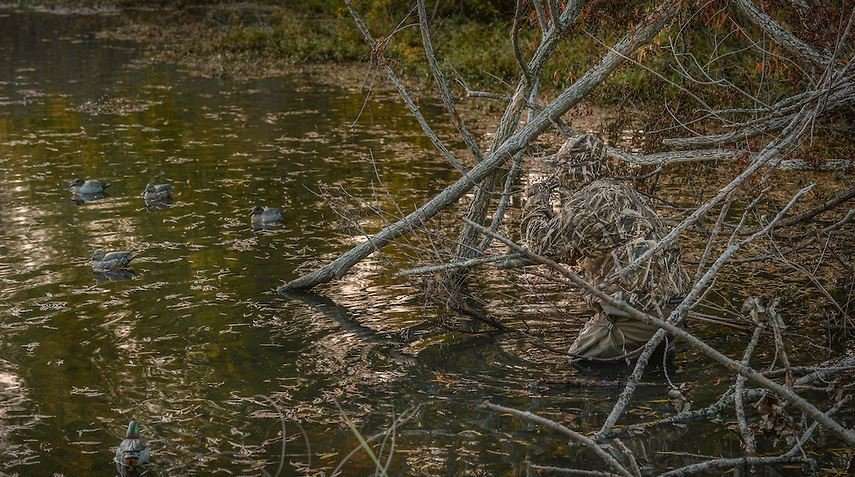 Find water and you should see opening day ducks. (Realtree photo)