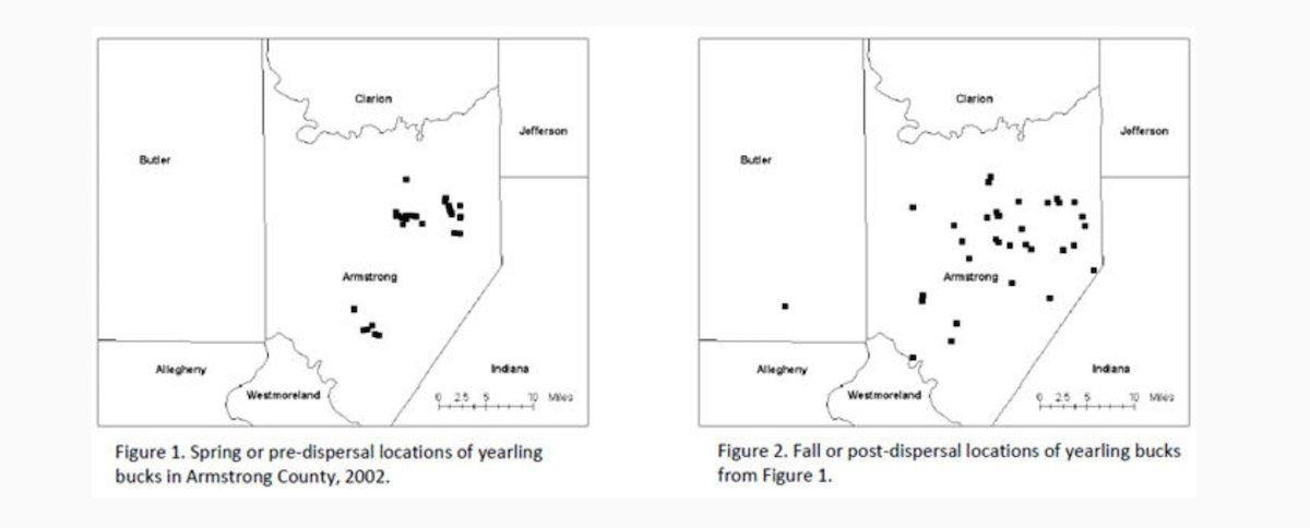 In most cases, whitetail dispersal directions are random. That can change in hilly terrain. Geographical features large enough to influence line of travel — both natural and manmade — can dictate dispersal direction. Areas with consistently oriented ridges oftentimes produce dispersal patterns that parallel these ridges. (Penn State University graph)