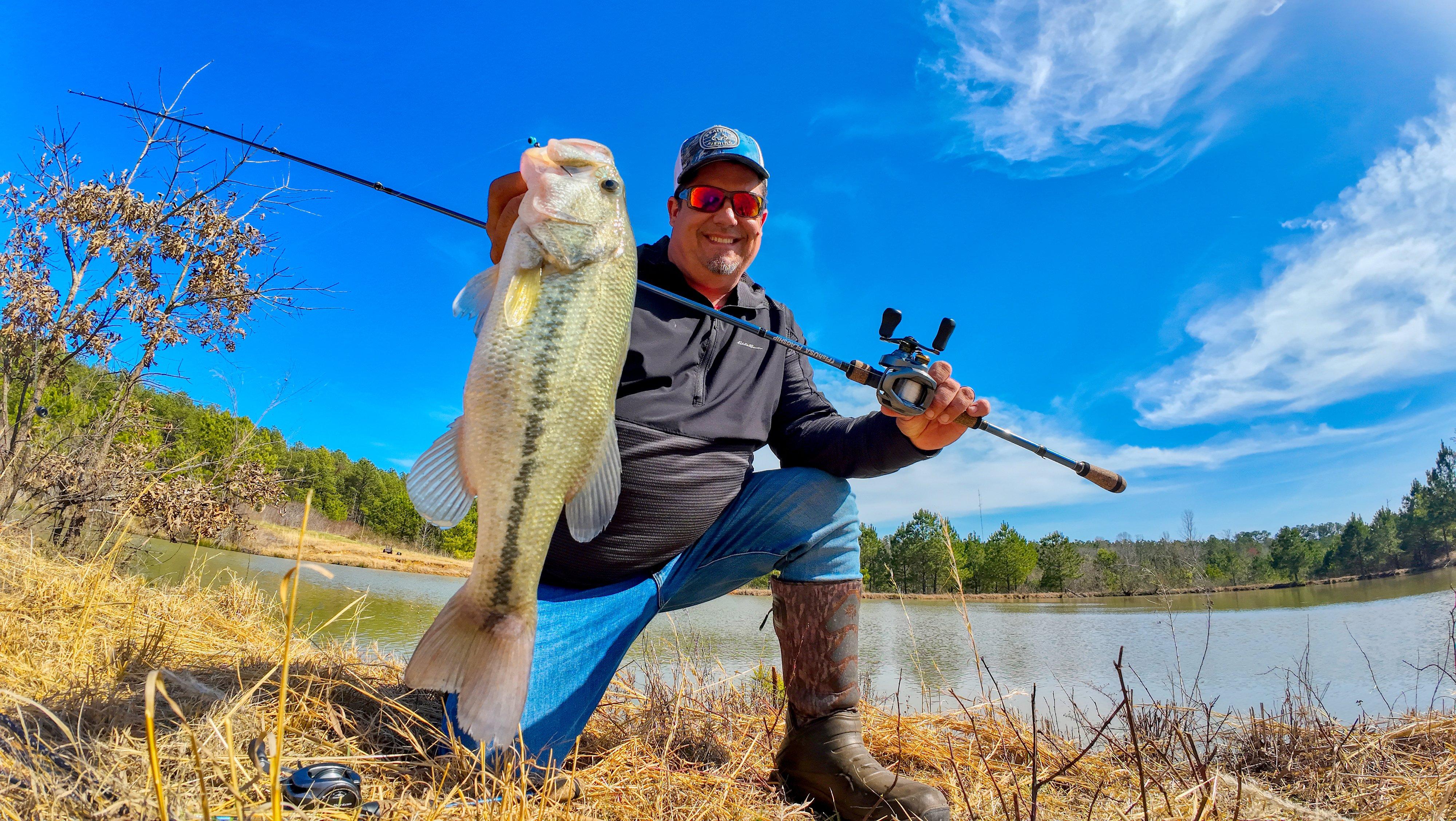 Image: perfect_farm_pond_7