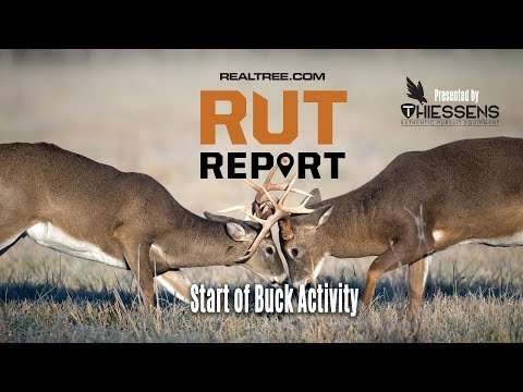 Southwest Rut Report: The Season Ahead Looks Promising - pro-rut-reports-u7_V_UrrtJM