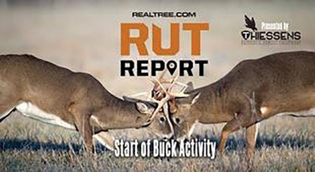 Midwest Rut Report: Expect Cold Front to Ignite Deer Movement - pro-rut-reports-u7_v_urrtjm_1