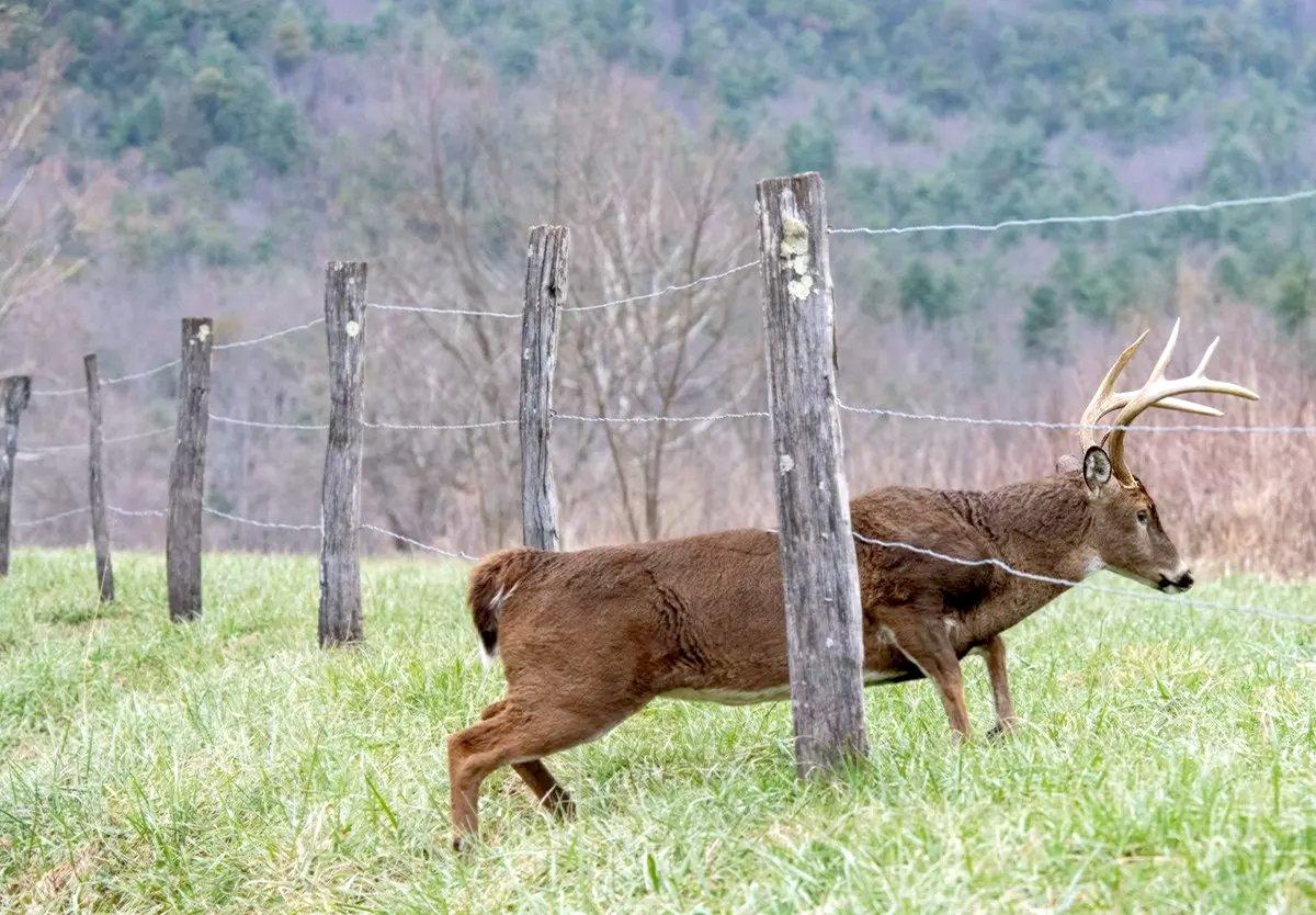 Image: property_line_hunting_1