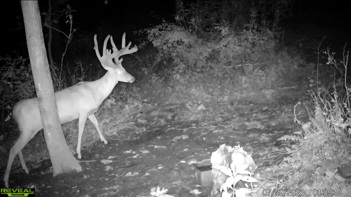 Image: rack_2_peterson