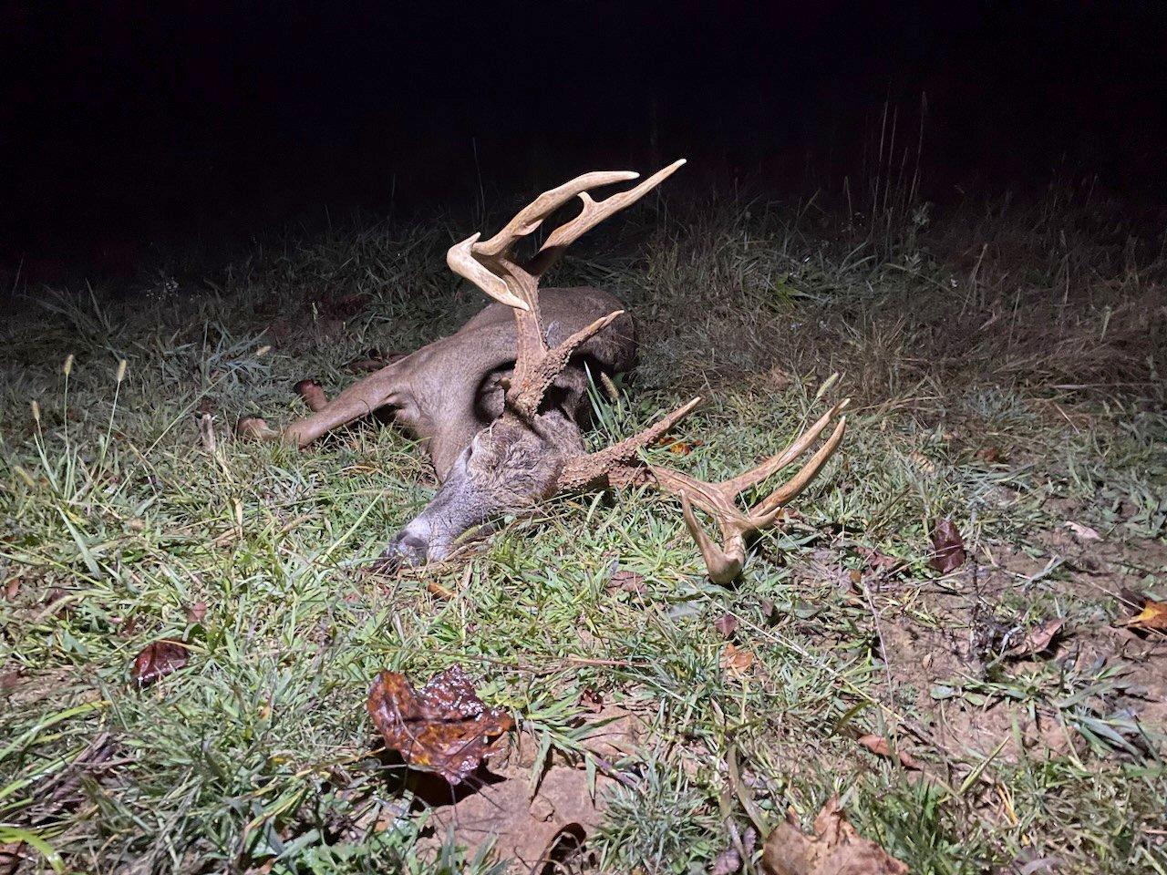 Image: rack_3_peterson