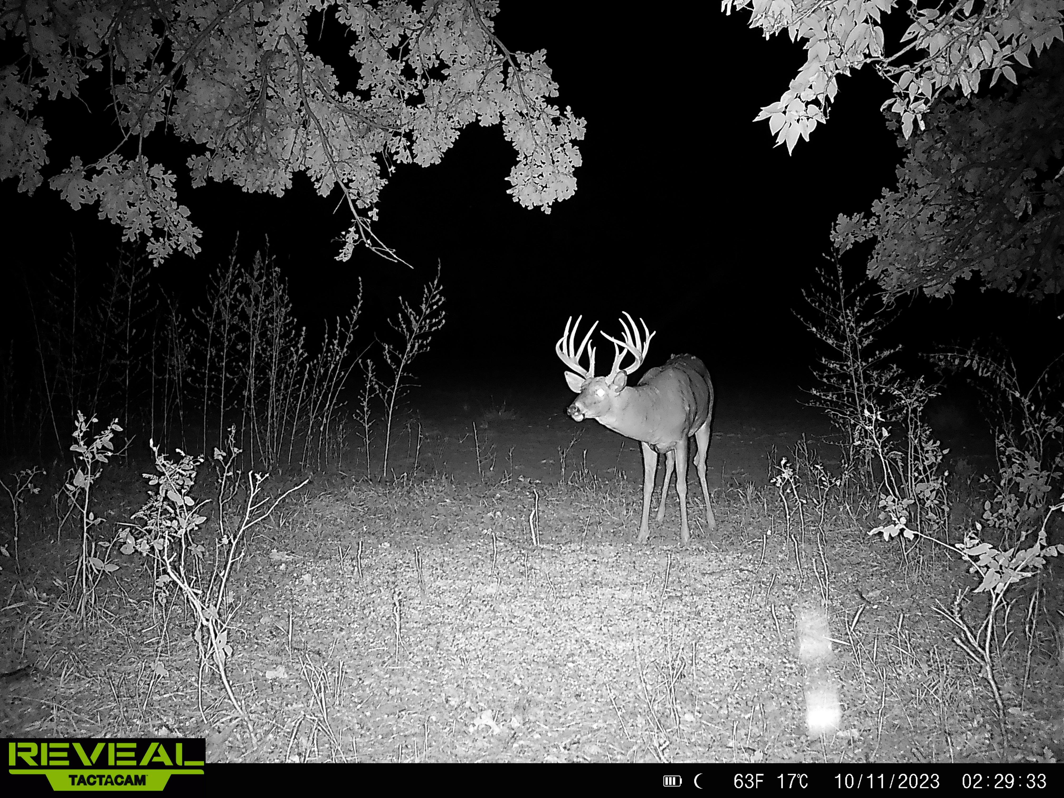 Image: rack_Kevin_LaRosh_8