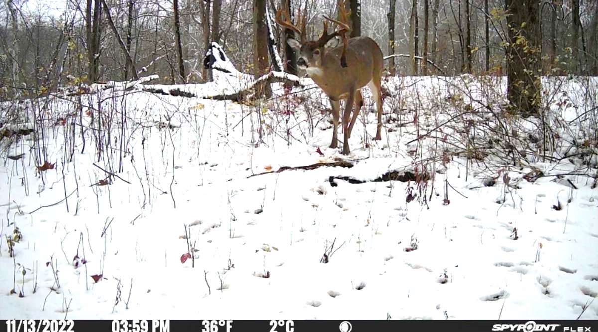 Kukral finally caught up to this Ohio monster. Image courtesy of Randy Kukral Kukral finally caught up to this Ohio monster. Image courtesy of Randy Kukral