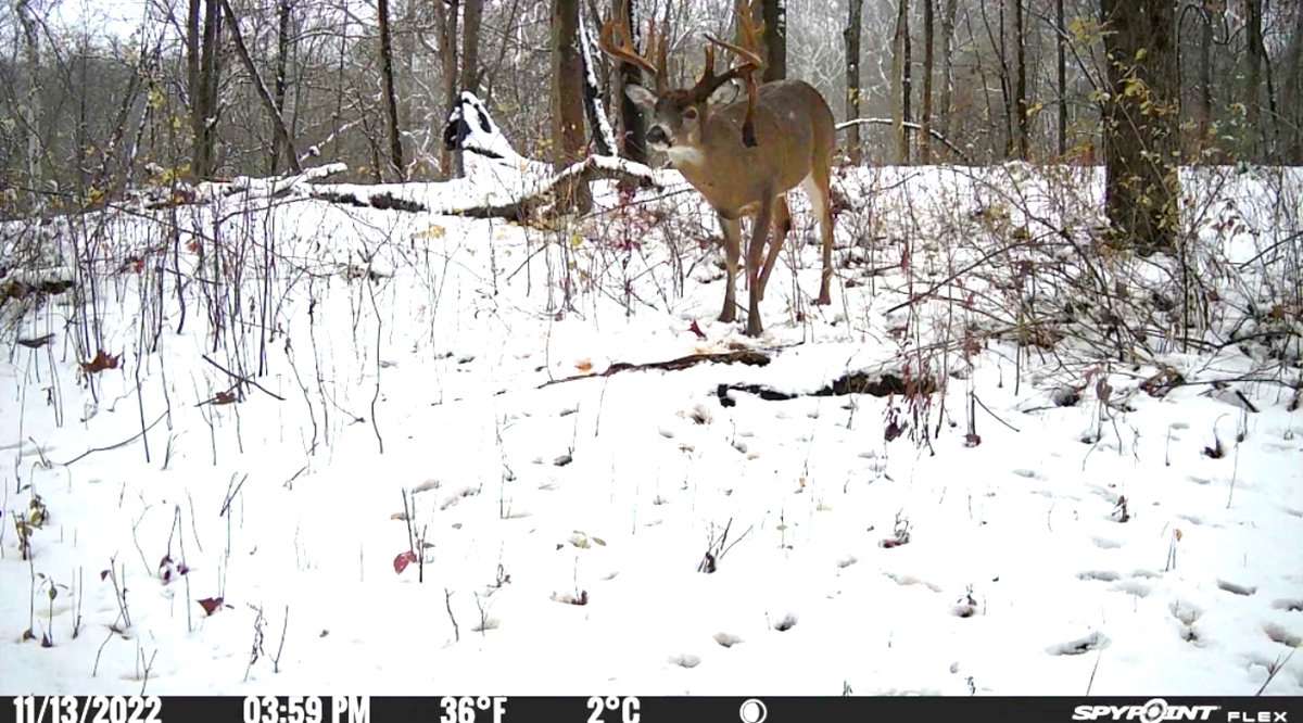 Kukral finally caught up to this Ohio monster. Image courtesy of Randy Kukral