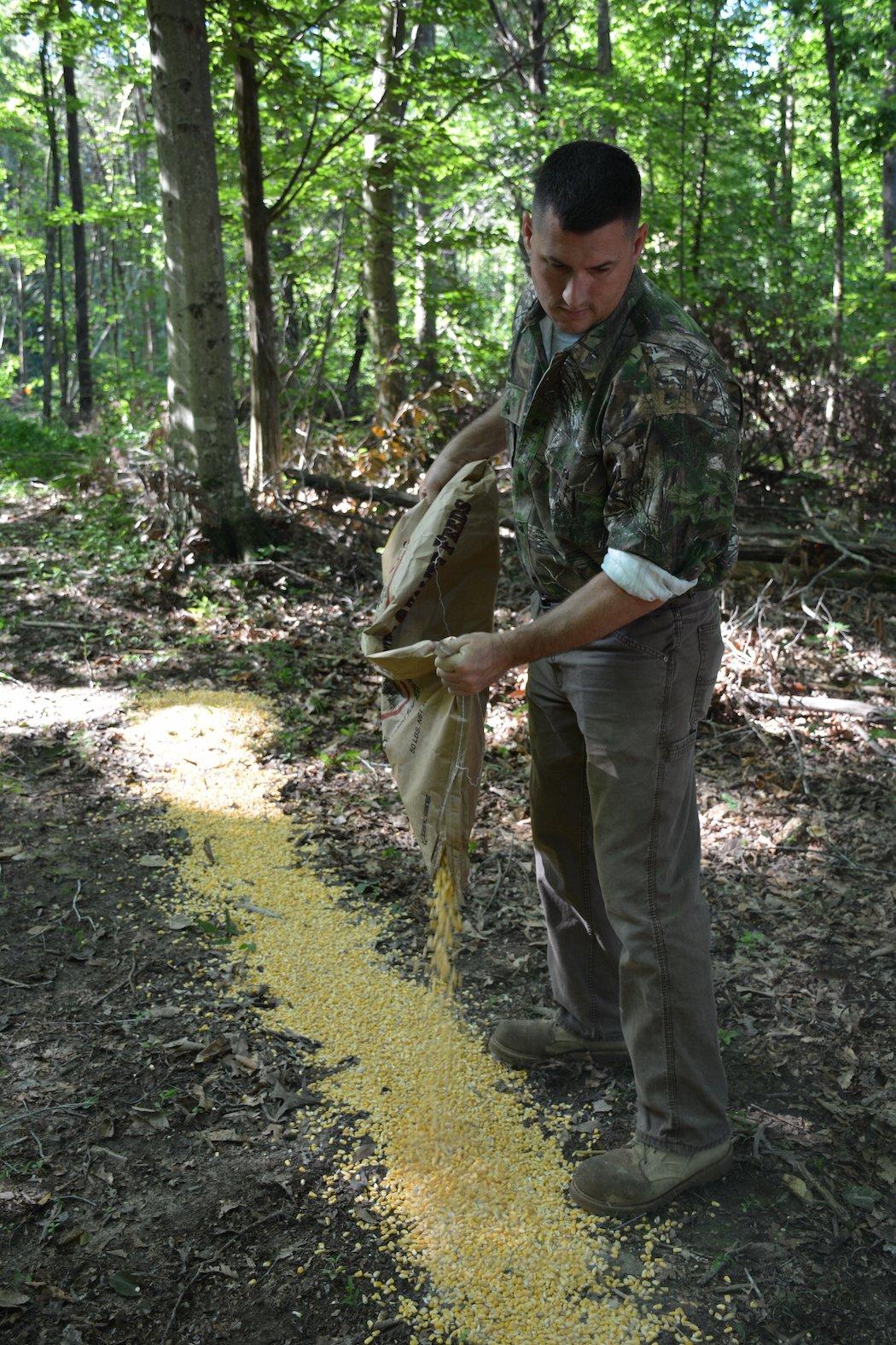 Check your local feeding and baiting laws before conducting a survey. (Richard Hines photo)
