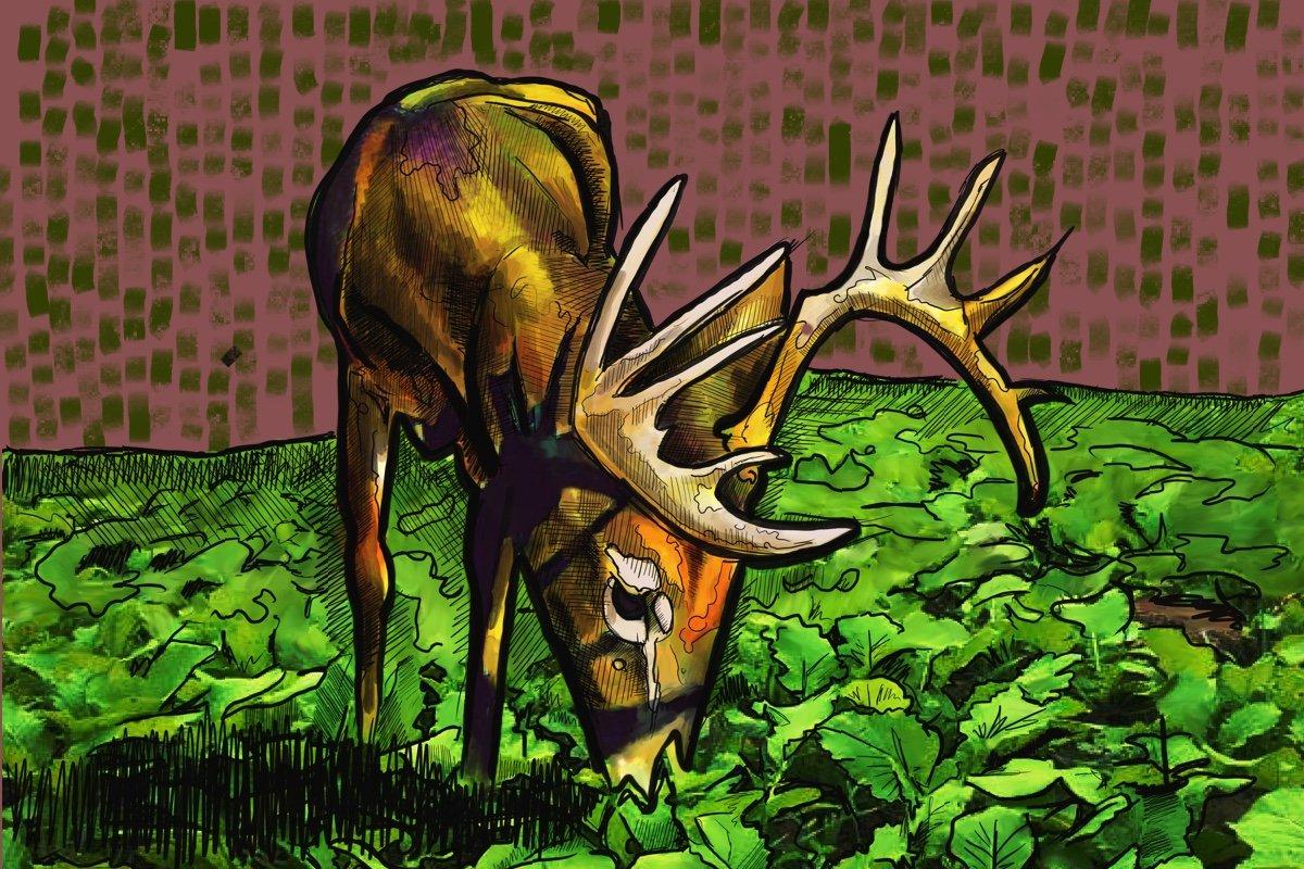 Want to stick a big buck as it munches on turnips at 20 yards this fall? Plant the right shape food plots. (Ed Anderson illustration)