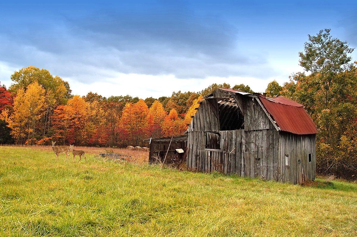 Near Old Farm Buildings and Machinery