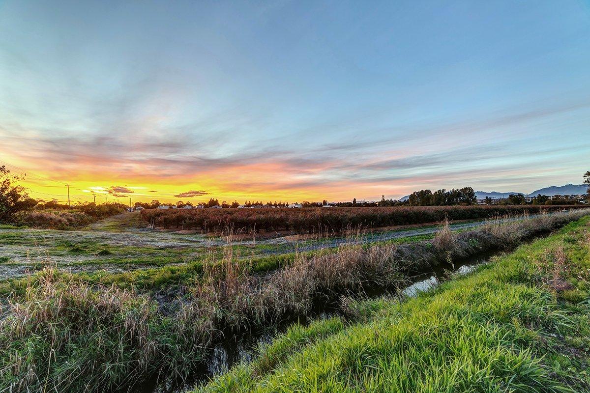 Ditch and Drainage Systems