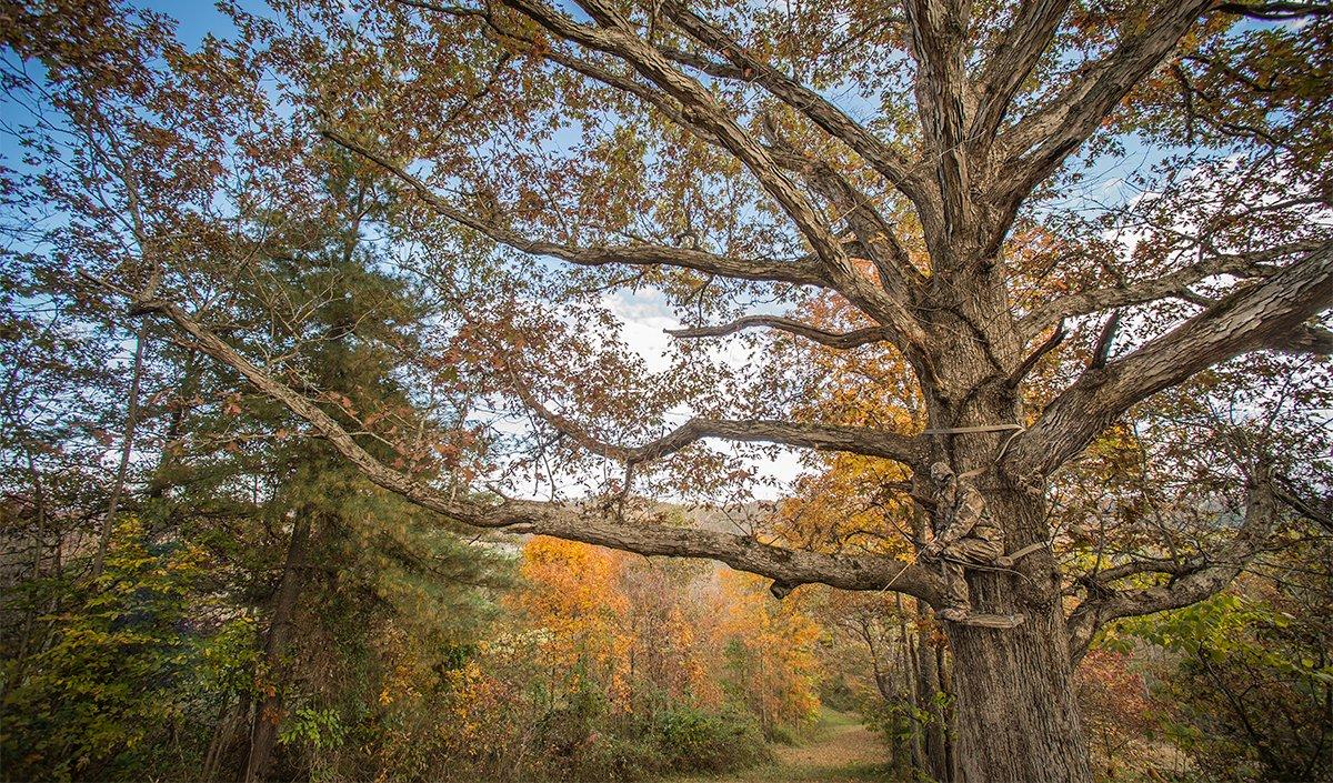 Bonus Beds: Any Edge Habitat