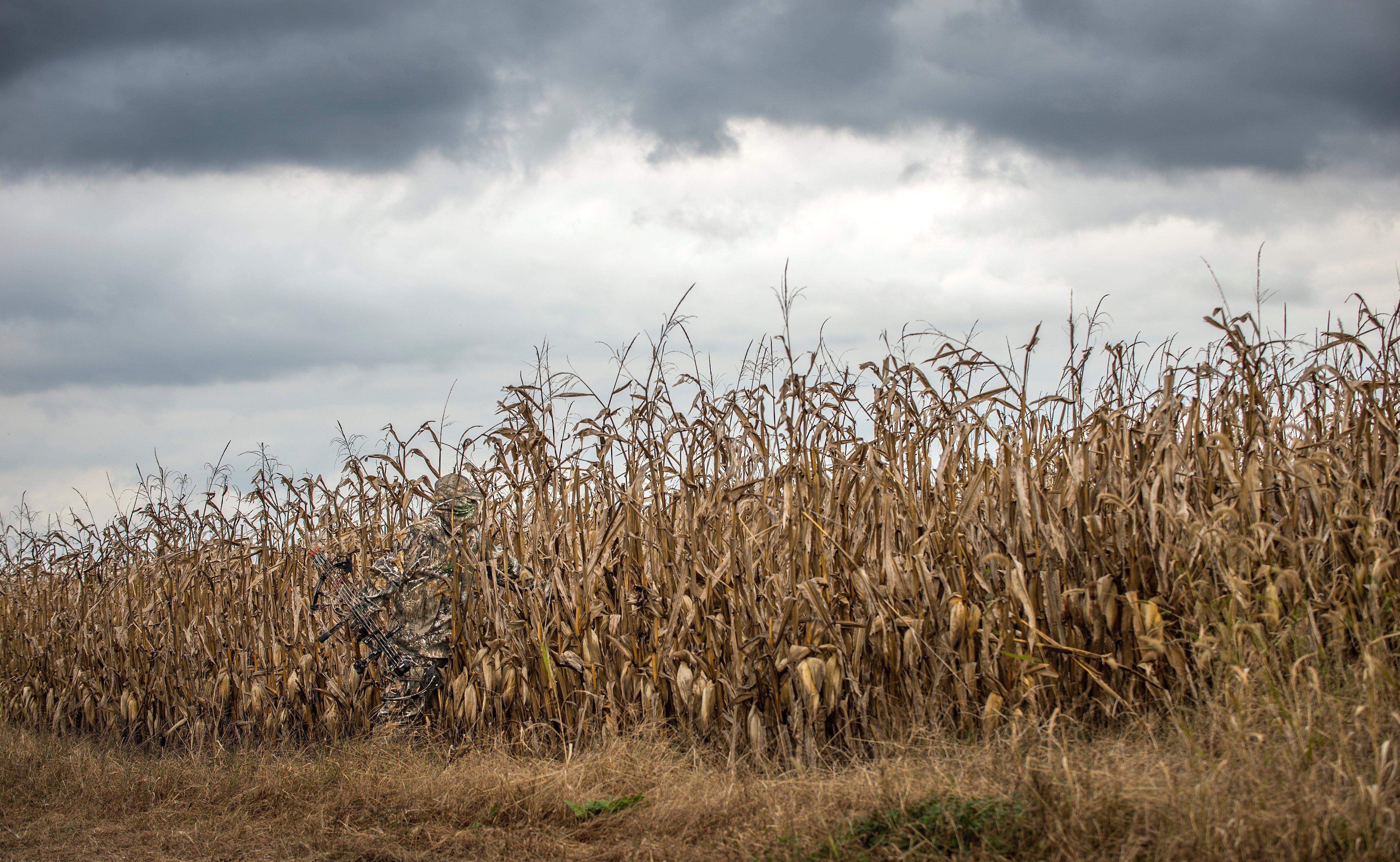Standing Crop Fields
