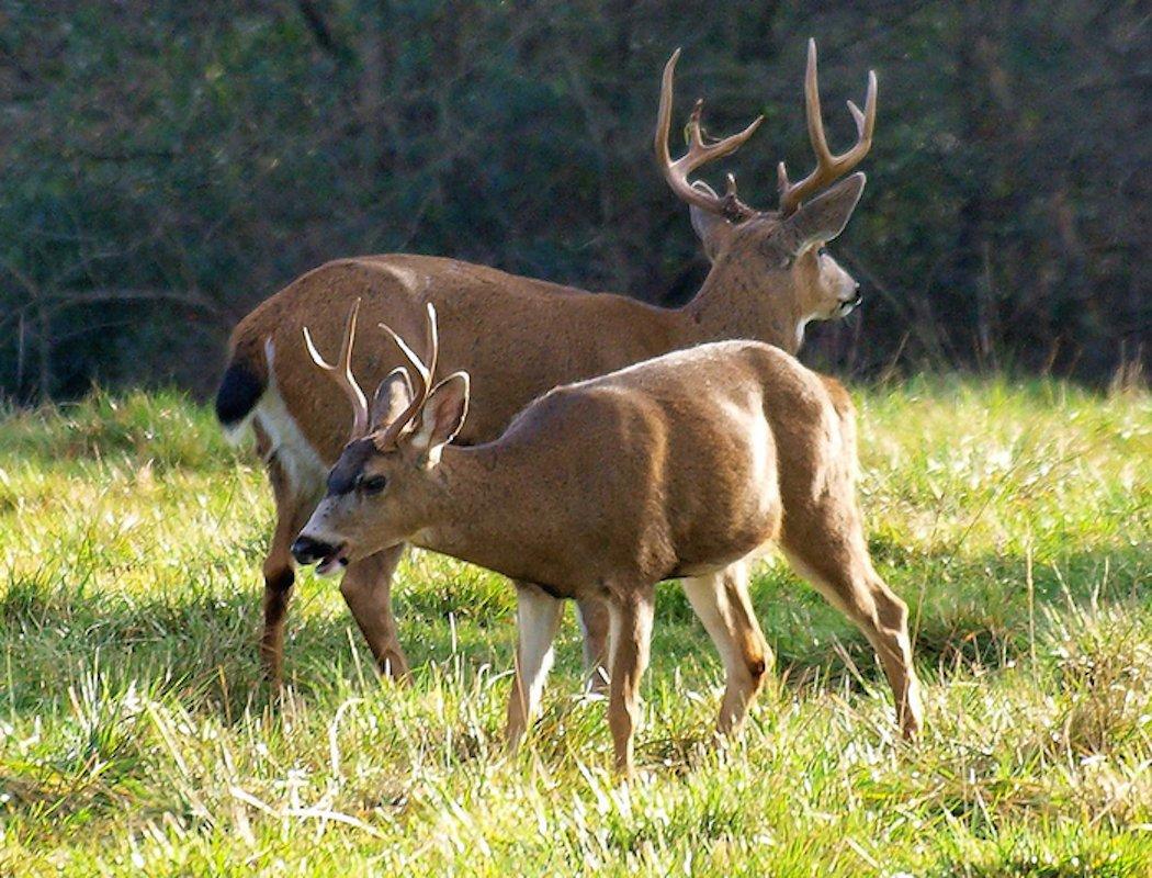 Be prepared mentally and physically for this hunt. (Steve Kane photo)