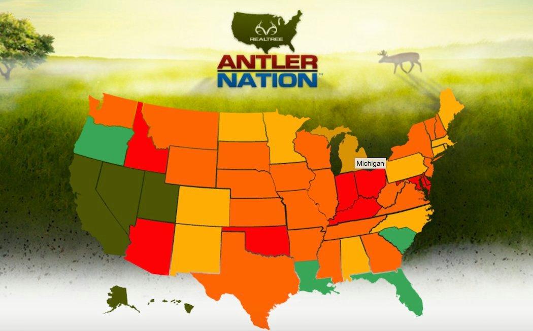 Check License Costs for Every State