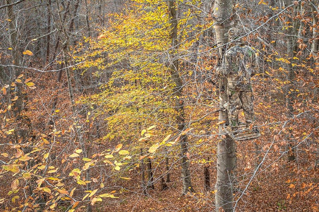 Do you wait until the conditions are in your favor to hunt your best stands? (Bill Konway photo)