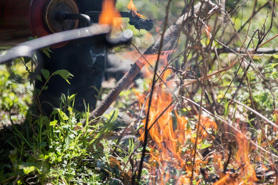 Conducting Prescribed Burns