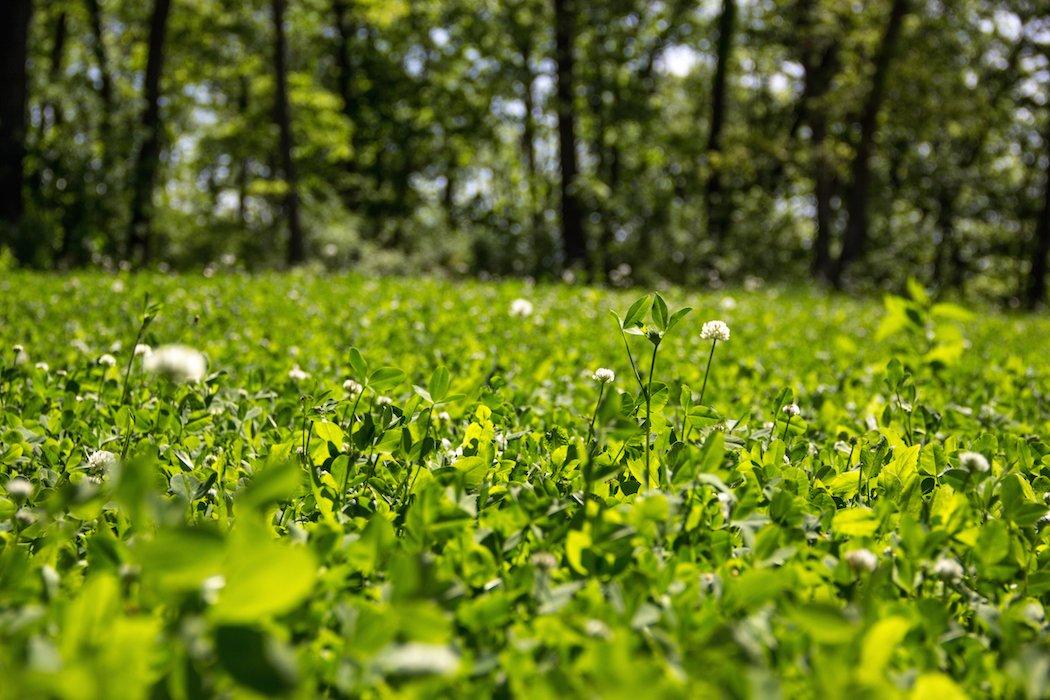 Offering Food Diversity