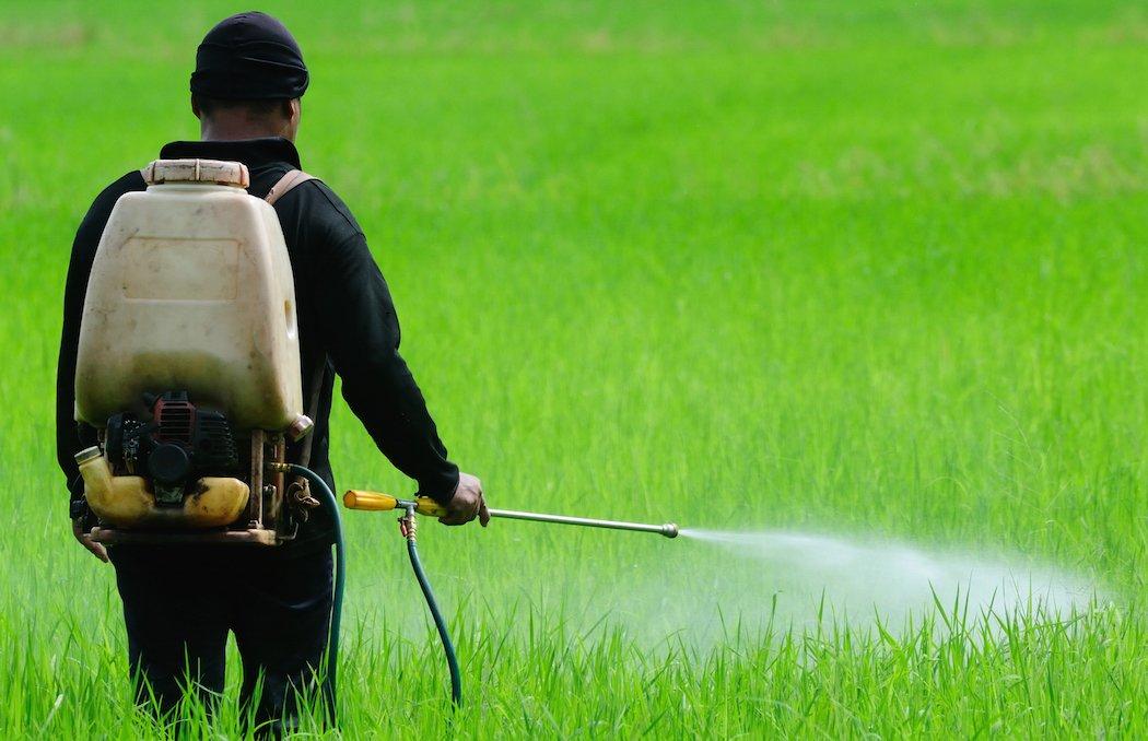 Spraying Unwanted Vegetation