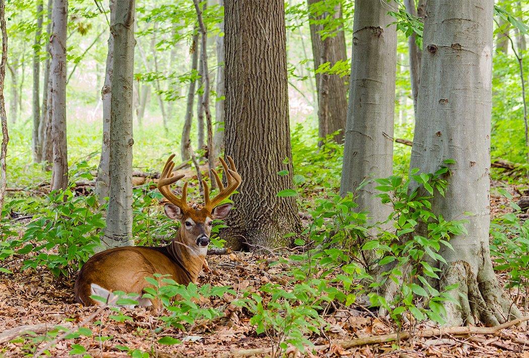 Work hard now so you'll be more prepared once season nears next fall. (Shutterstock / Bruce MacQueen photo)